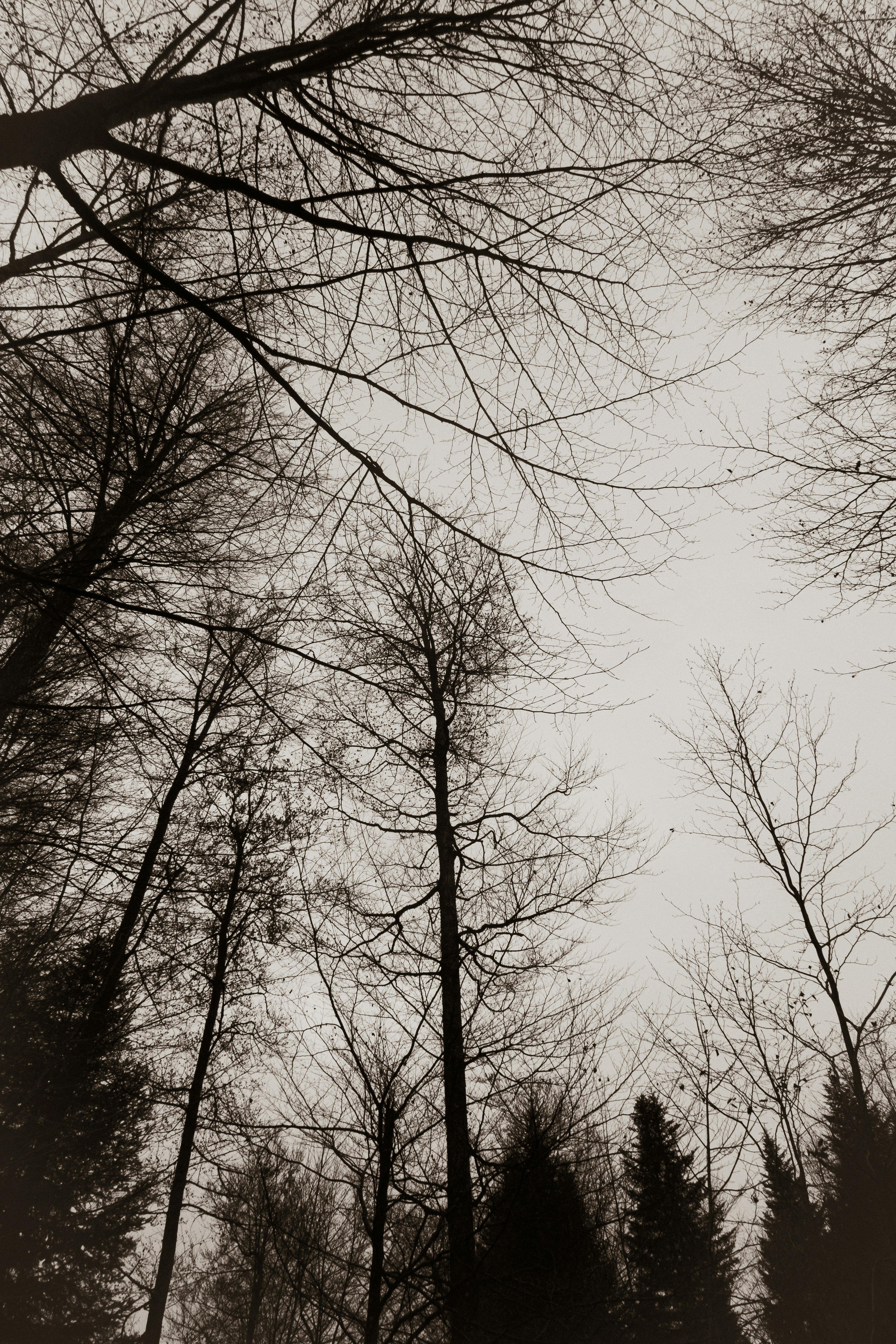 Photo by wheresalina