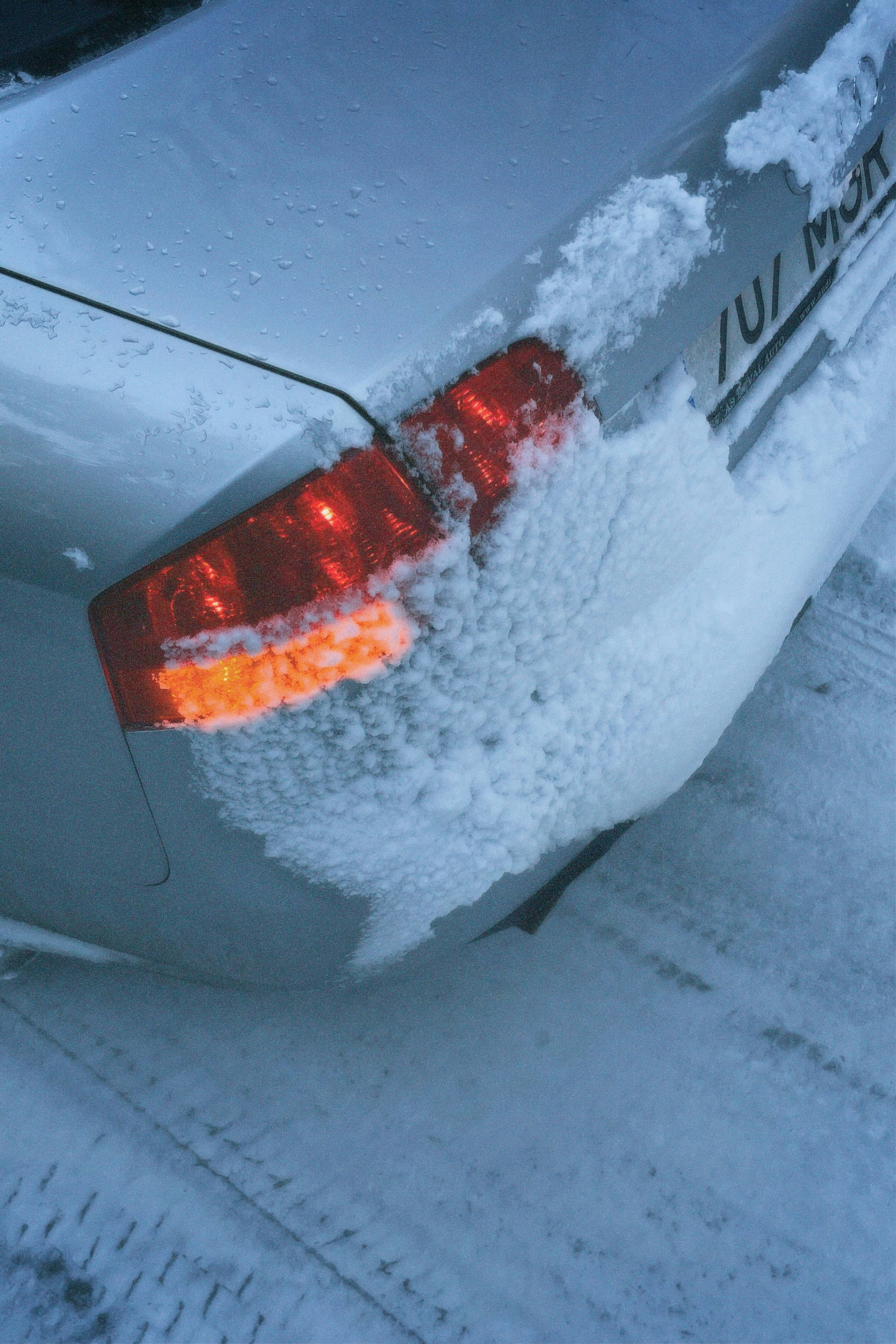 Photo by maximyuryshev