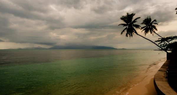 Palm-lined beach beneath a cloudy sky on Koh Samui