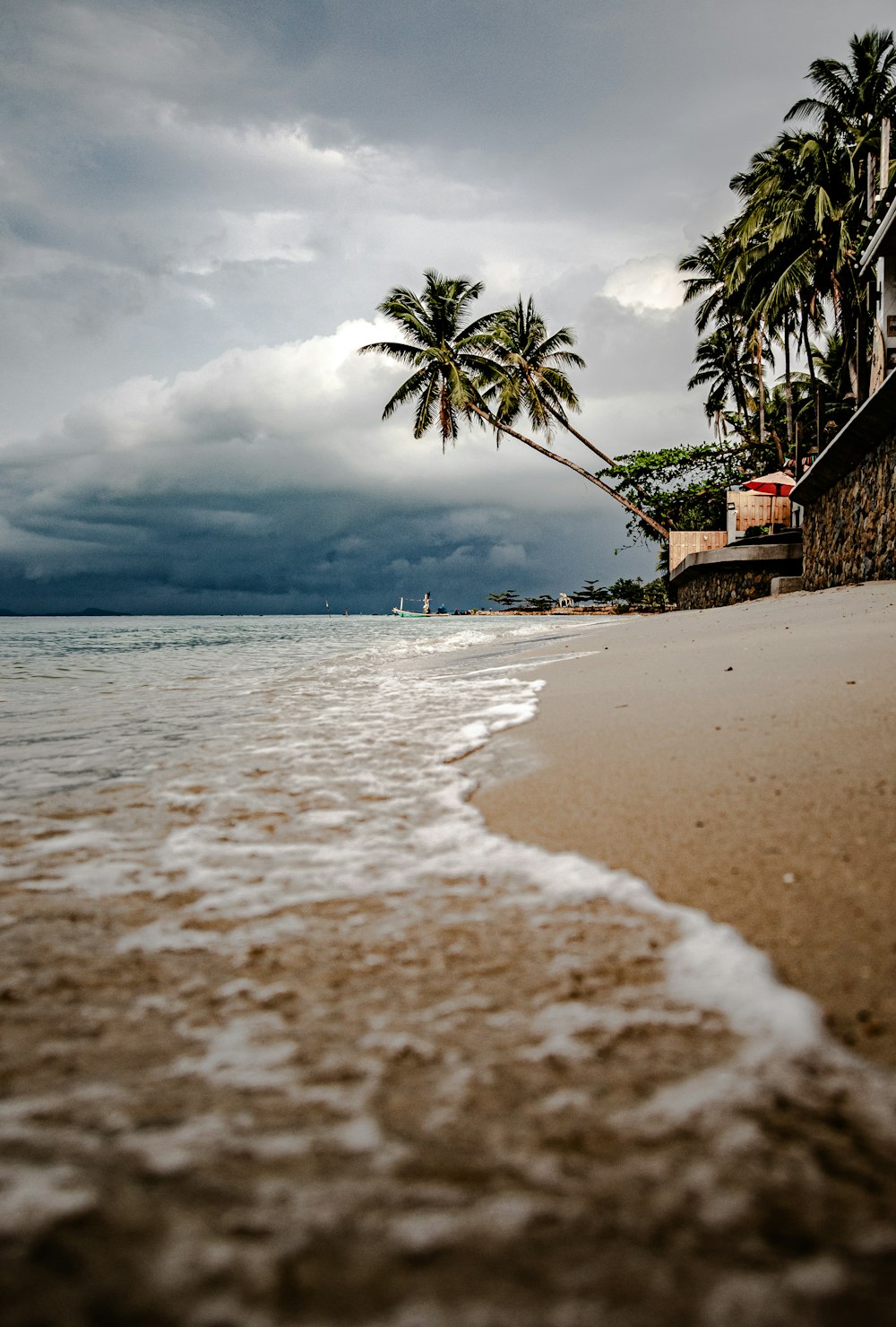 a sandy beach with palm trees on a cloudy day