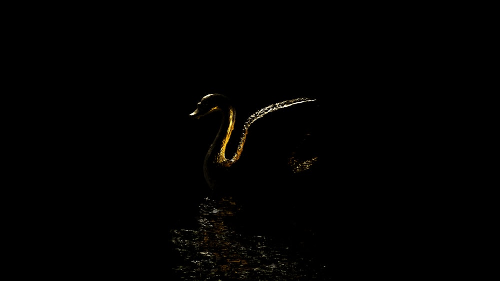 a bird is standing in the water at night