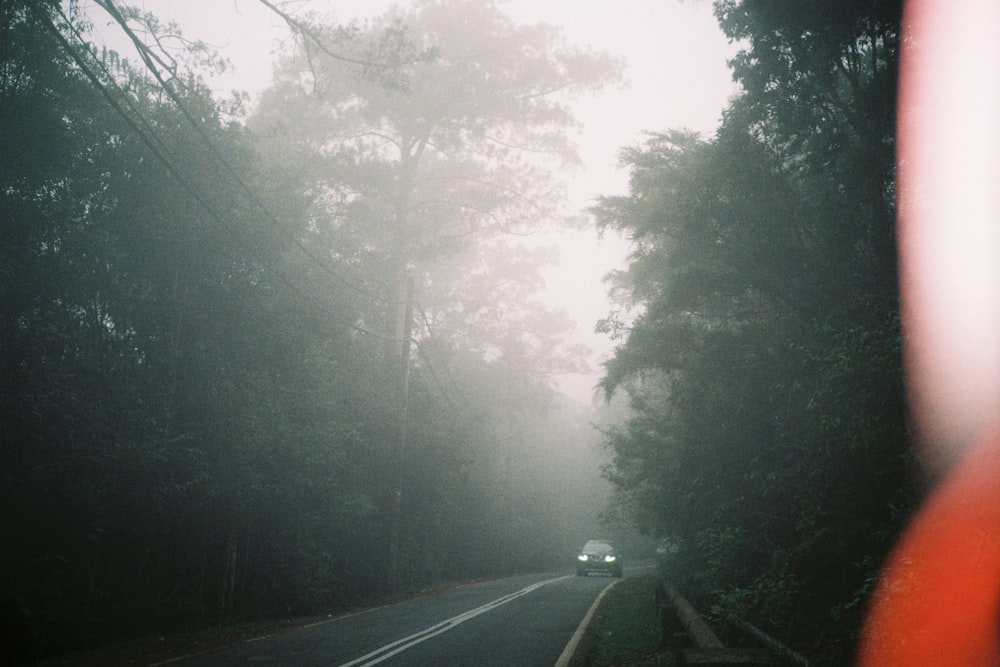 a car driving down a road in the middle of a forest