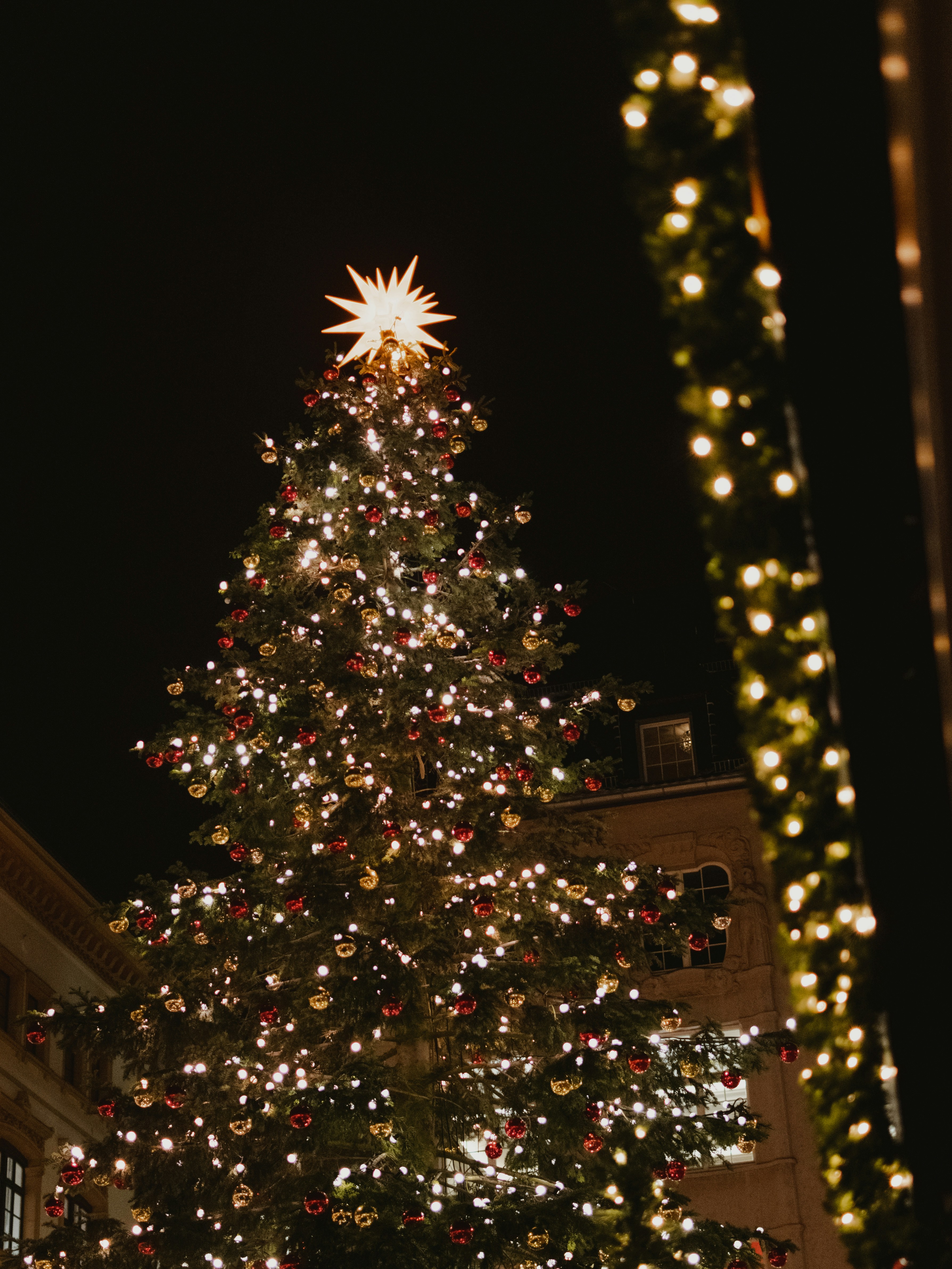 A large christmas tree is lit up at night photo Free Germany Image on