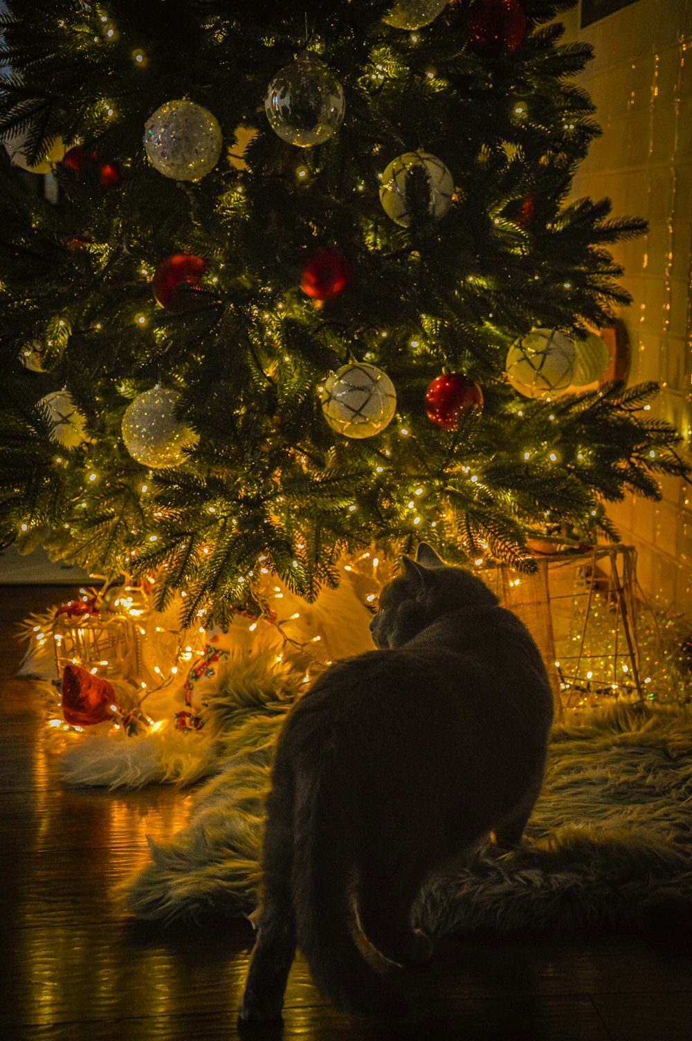 a cat is sitting under a christmas tree