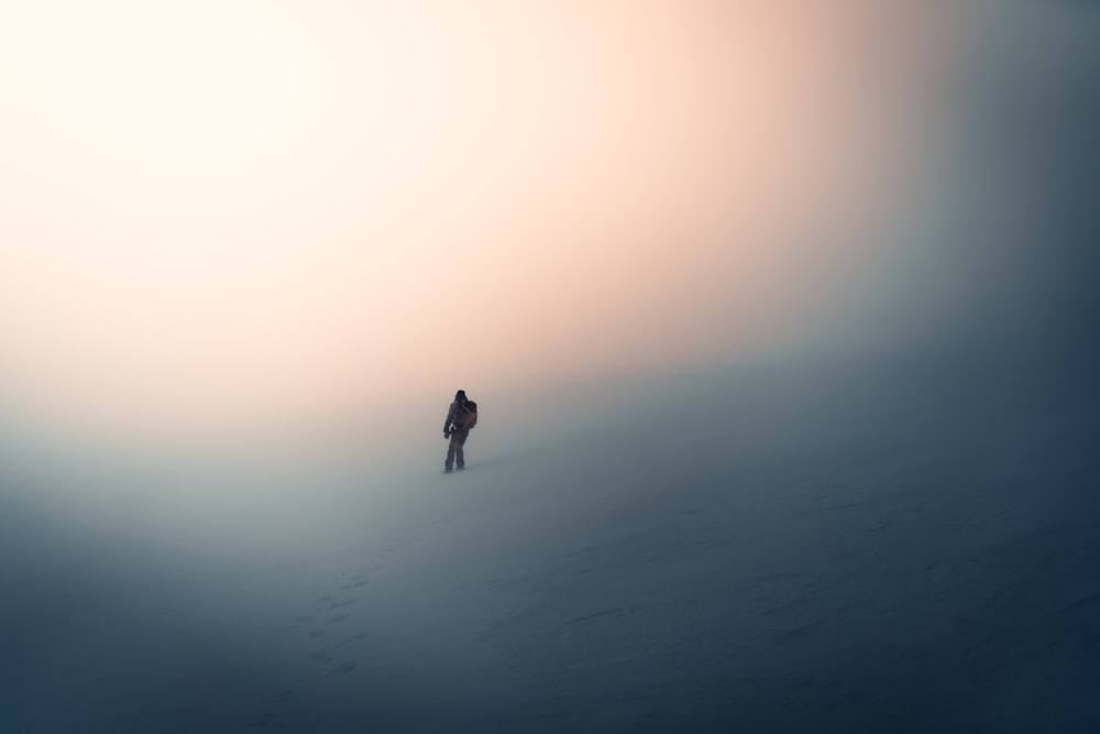 a person standing in the middle of a foggy field