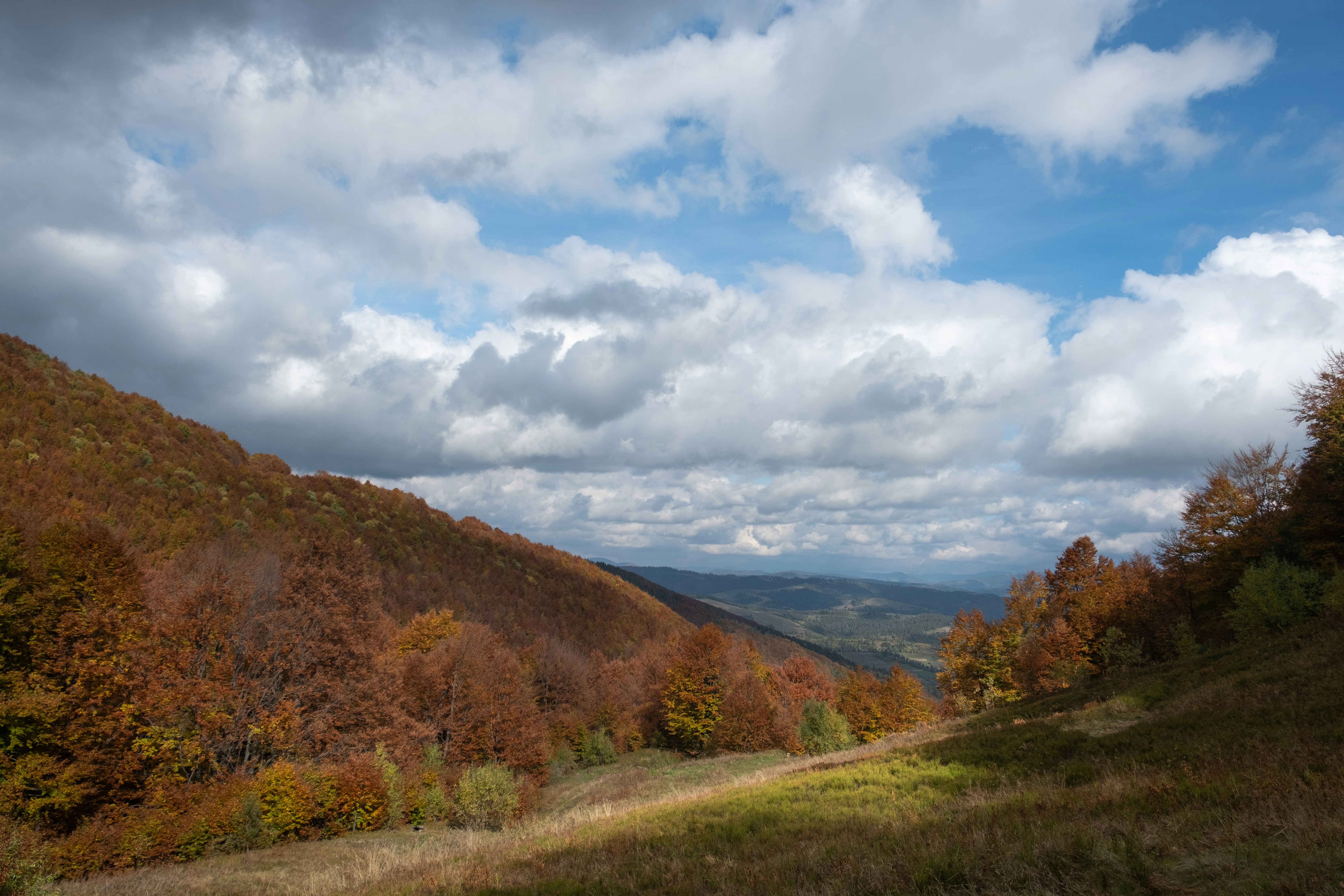 Photo by sevencolors