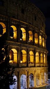 Book open looking up from spine