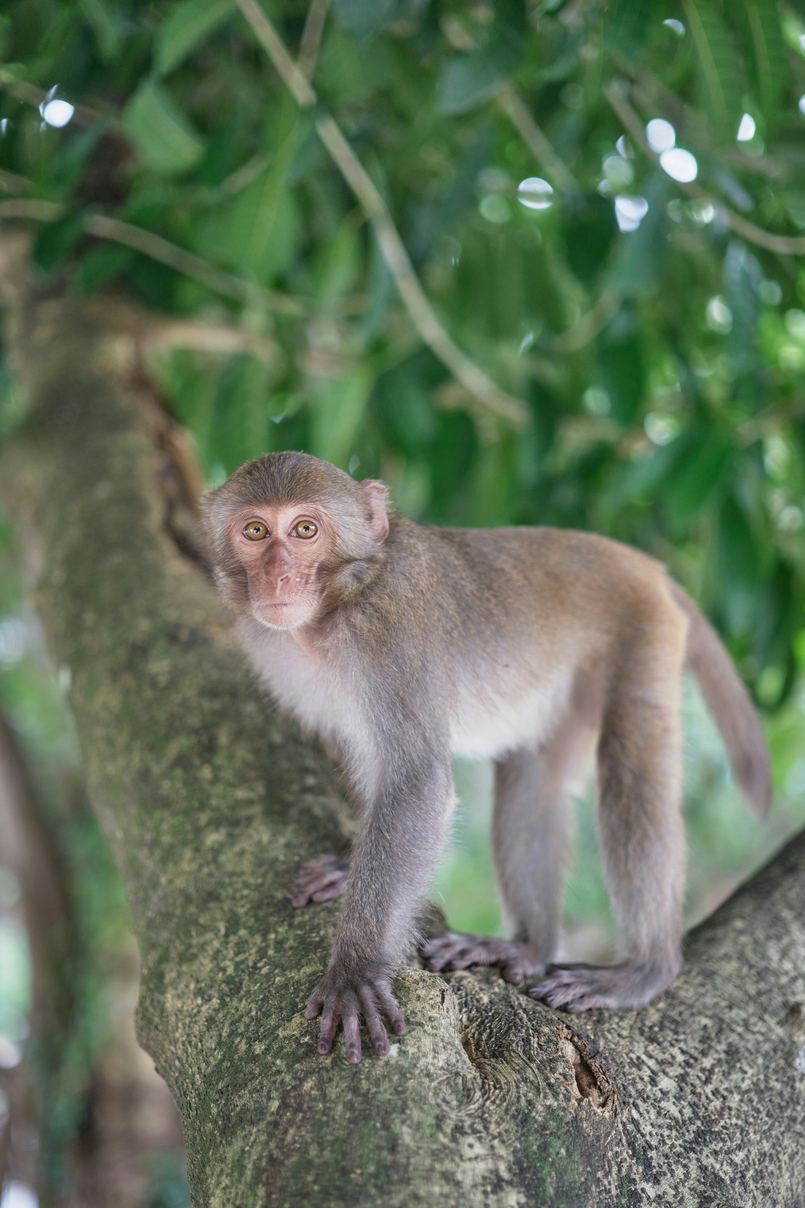 Photo by seoulinspired