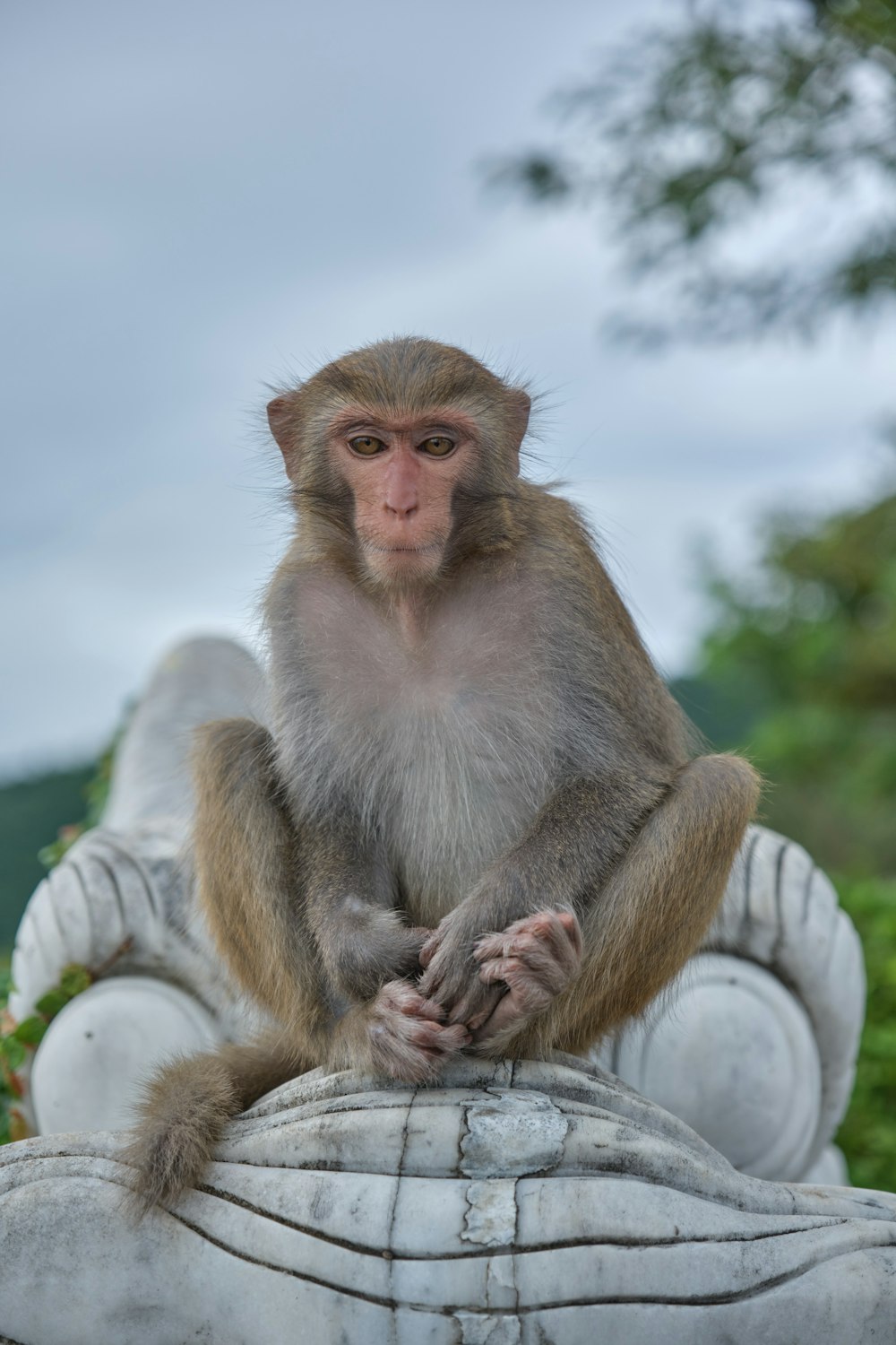 a monkey sitting on top of a statue