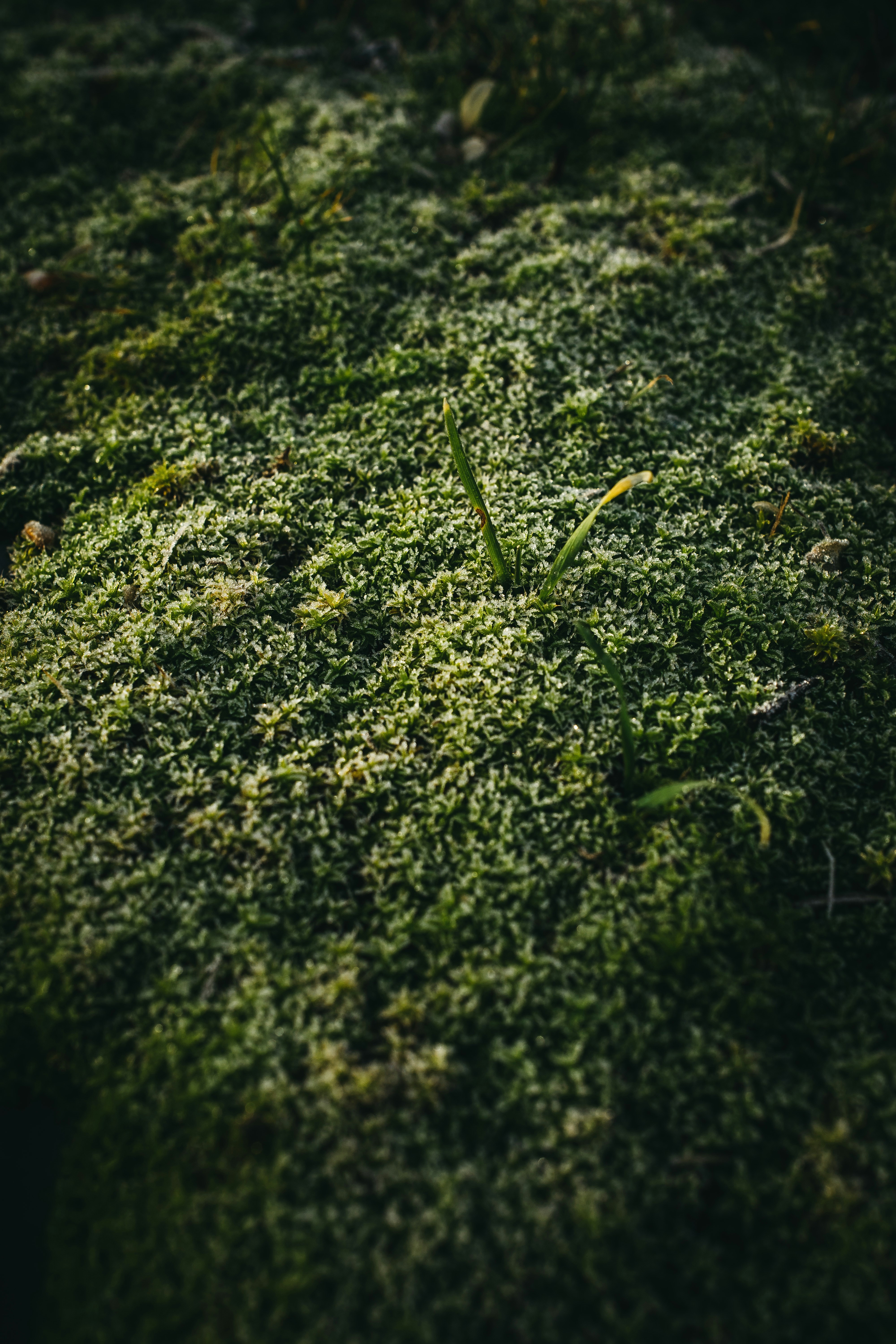 Photo by onmywayhome