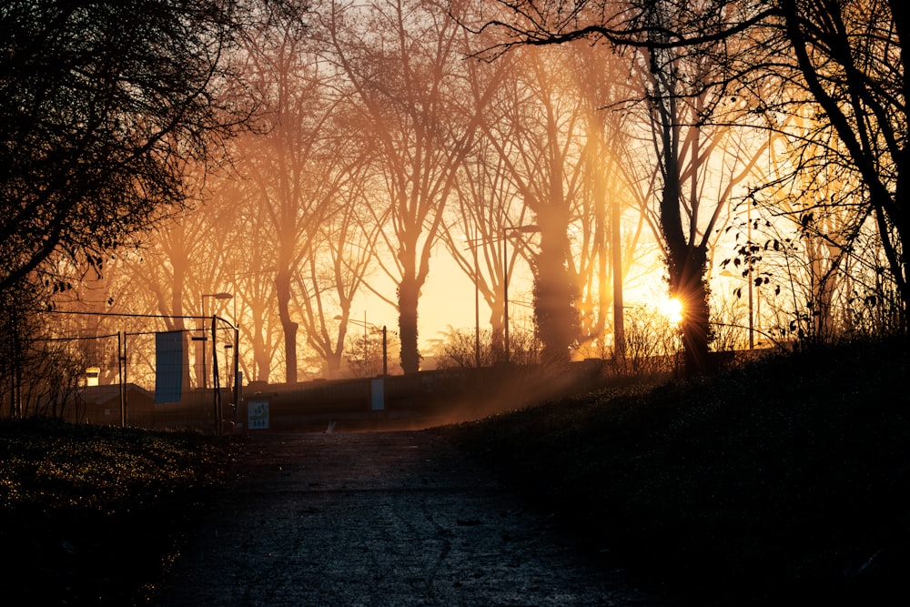 the sun is shining through the trees in the park