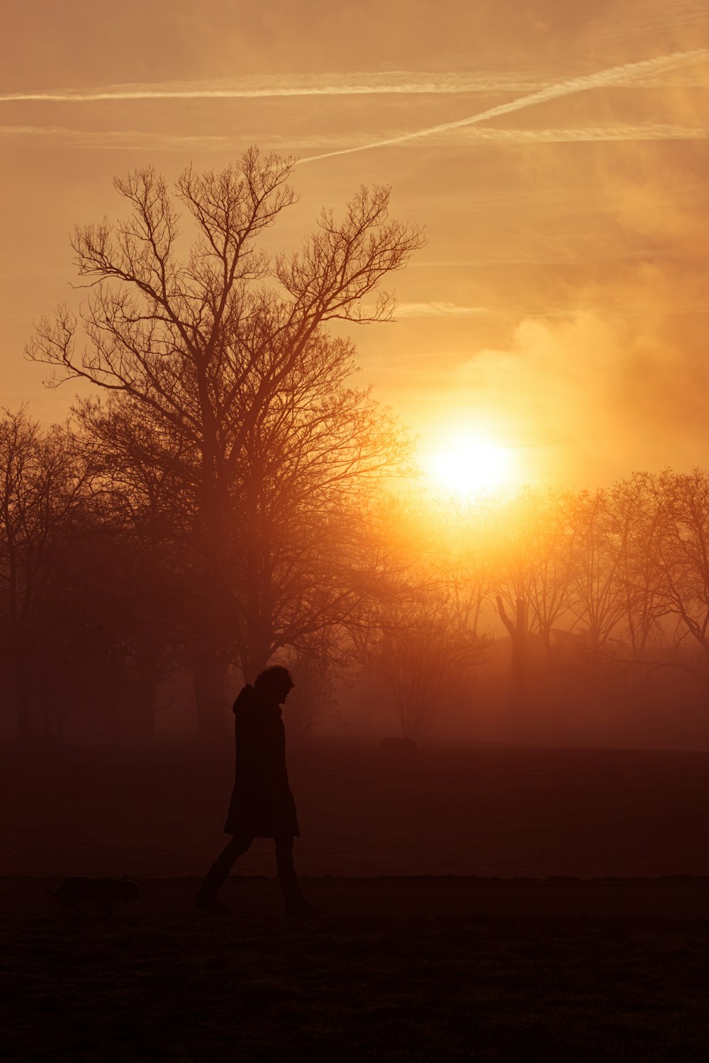 a person walking in a field at sunset
