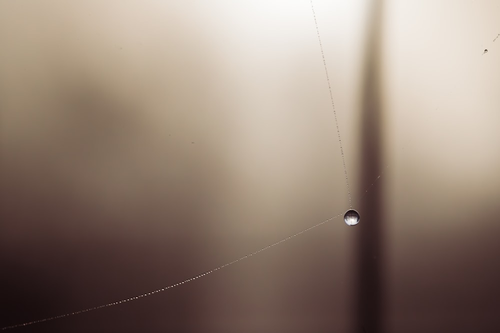 a drop of water hanging from a string