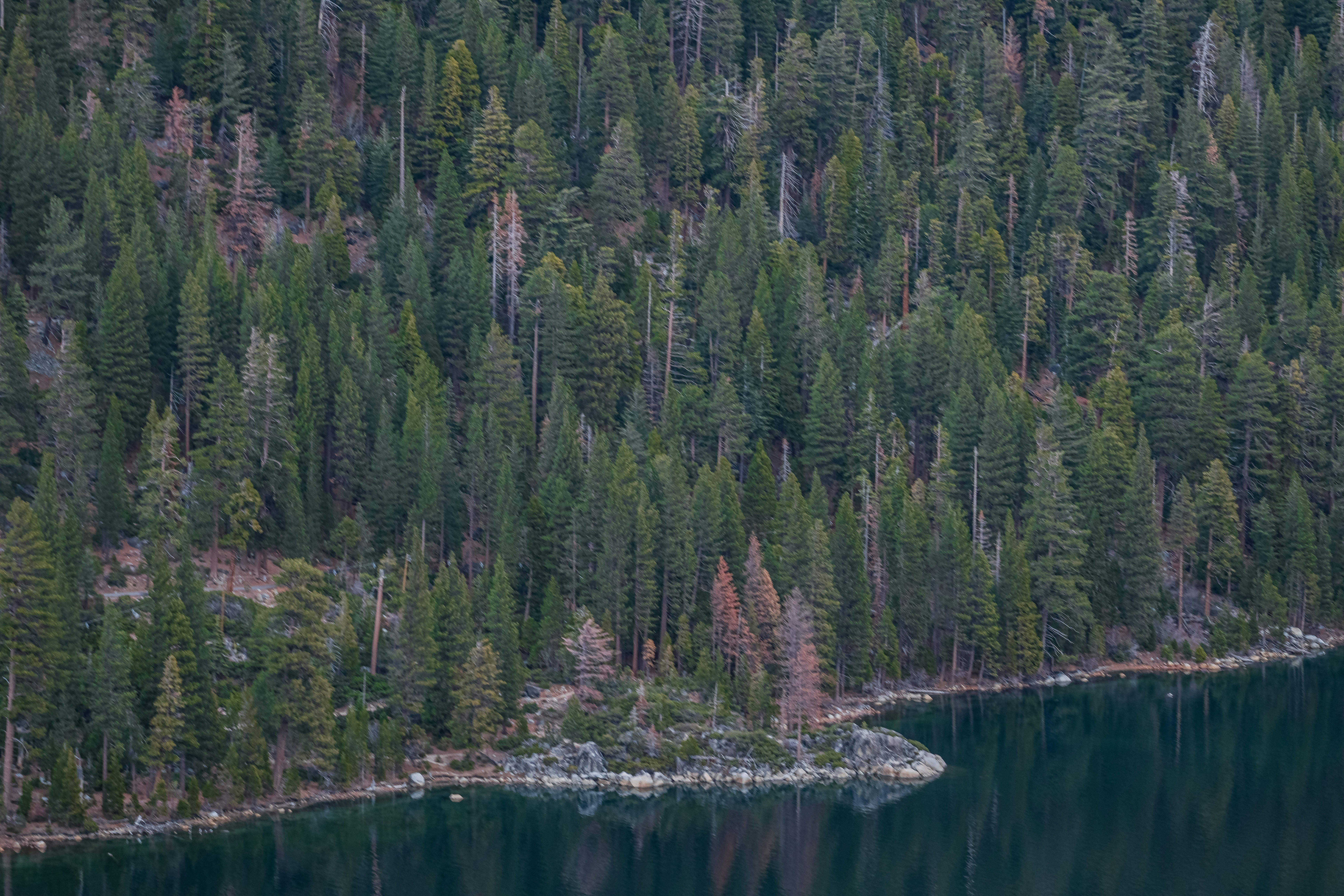 Photo by cestmoisheedy