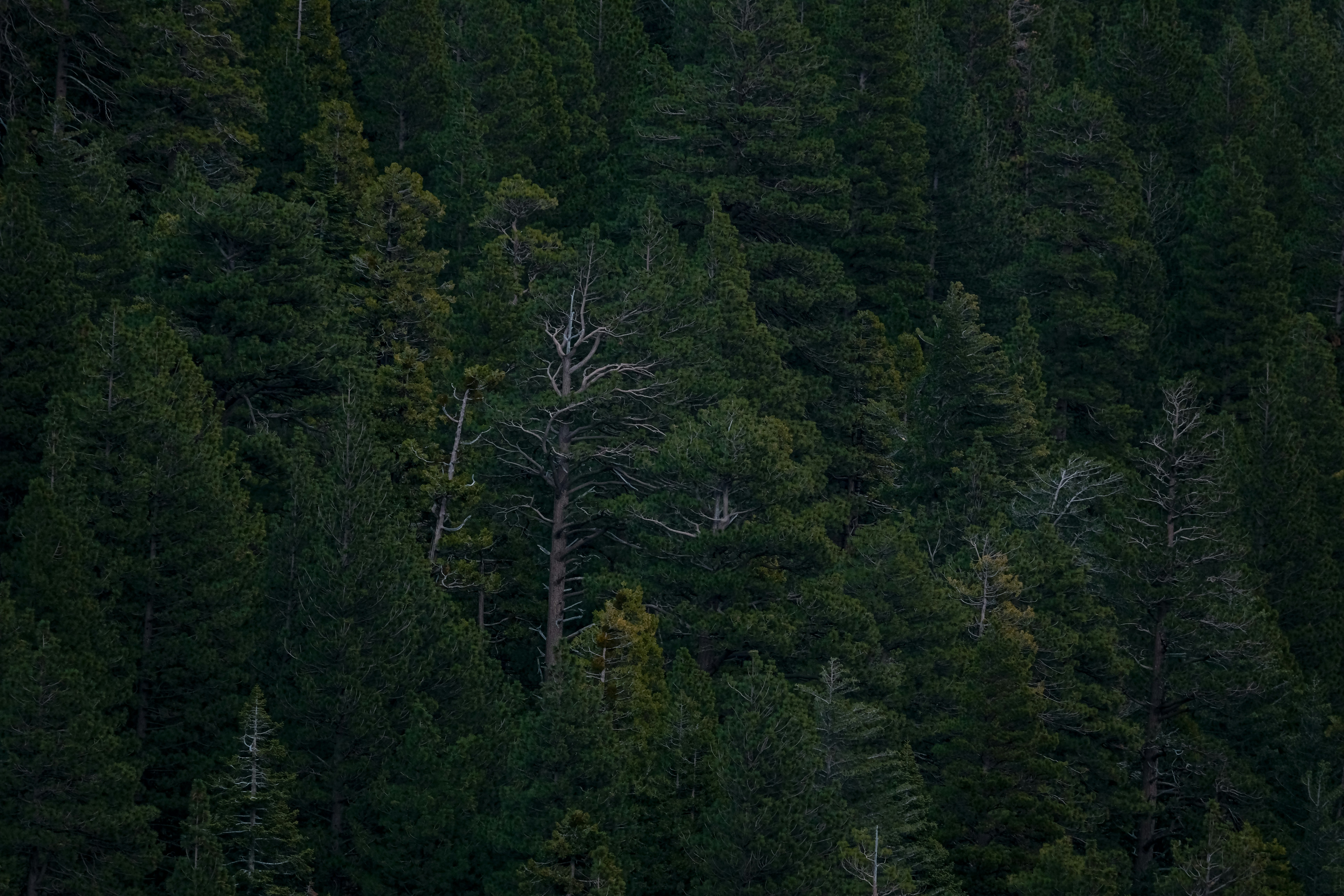 Photo by cestmoisheedy