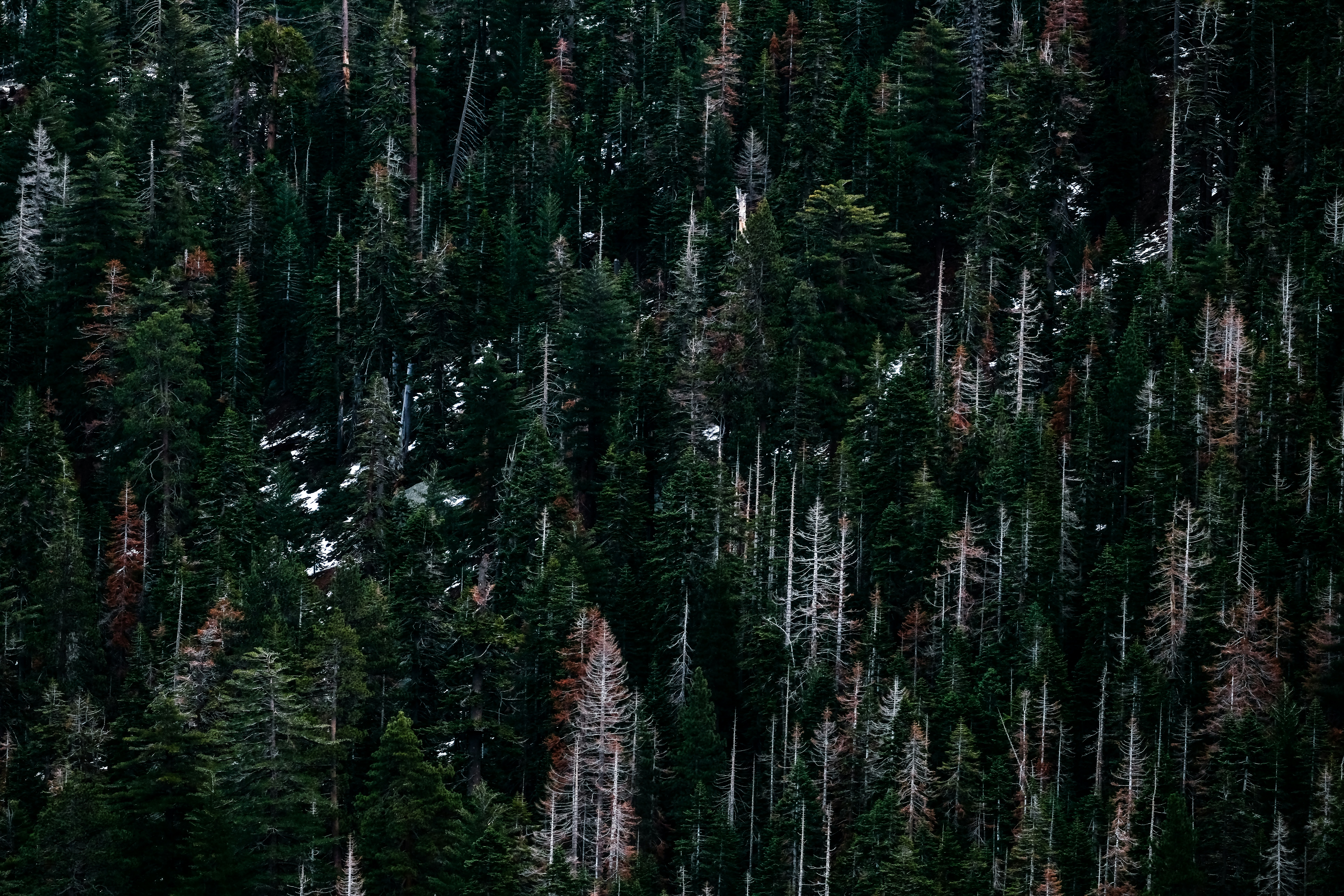 Photo by cestmoisheedy