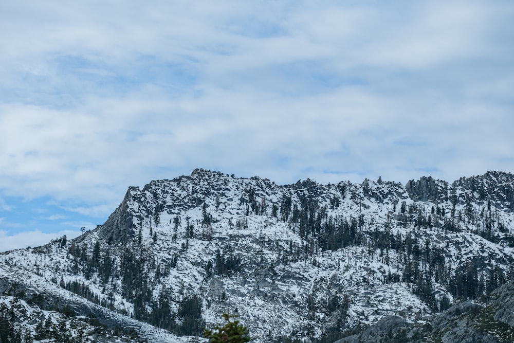 a mountain covered in snow with trees in the foreground