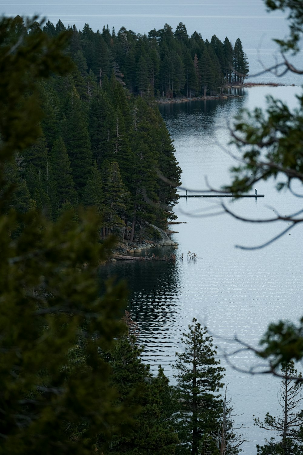 a body of water surrounded by trees and a bridge