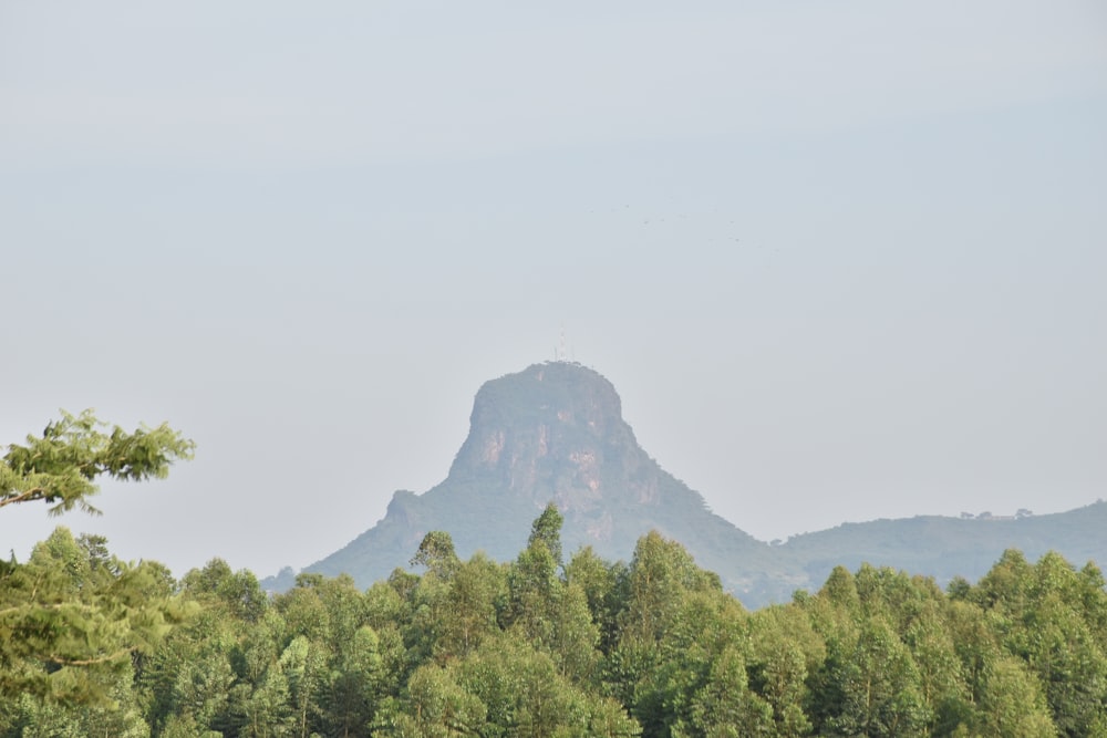 a view of a mountain with trees in the foreground