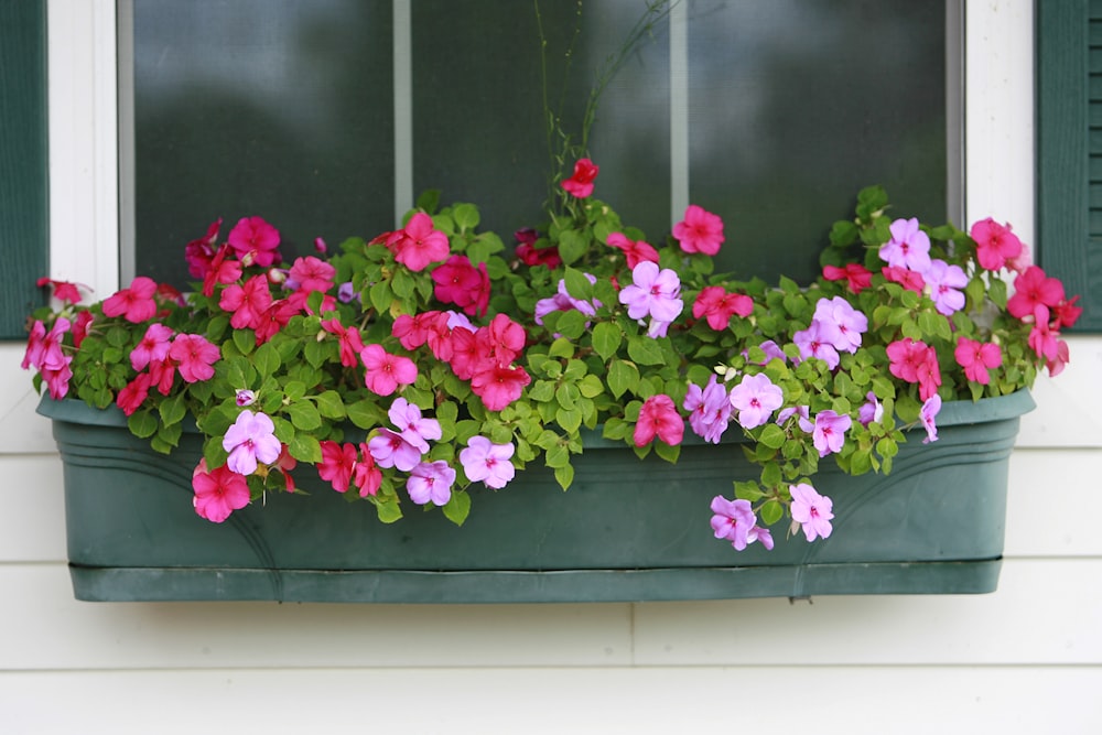 a window box filled with pink and purple flowers