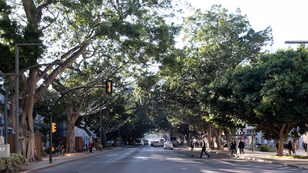 a tree lined street with people walking down it