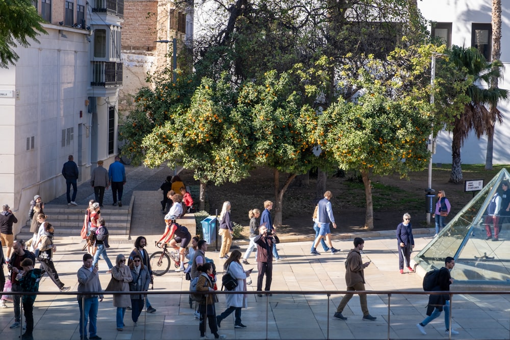 a group of people walking down a sidewalk next to trees