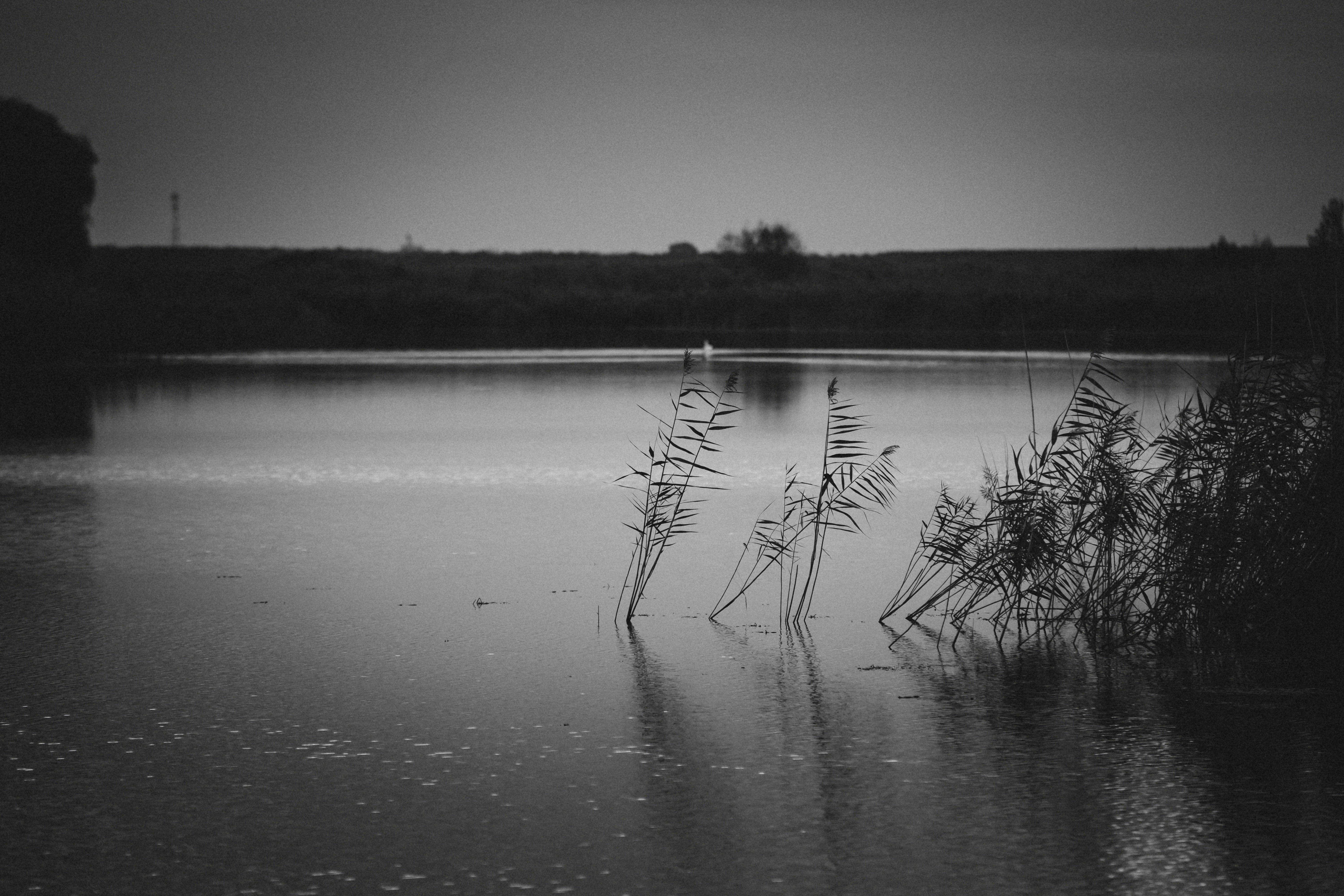 Photo by sylvester_s