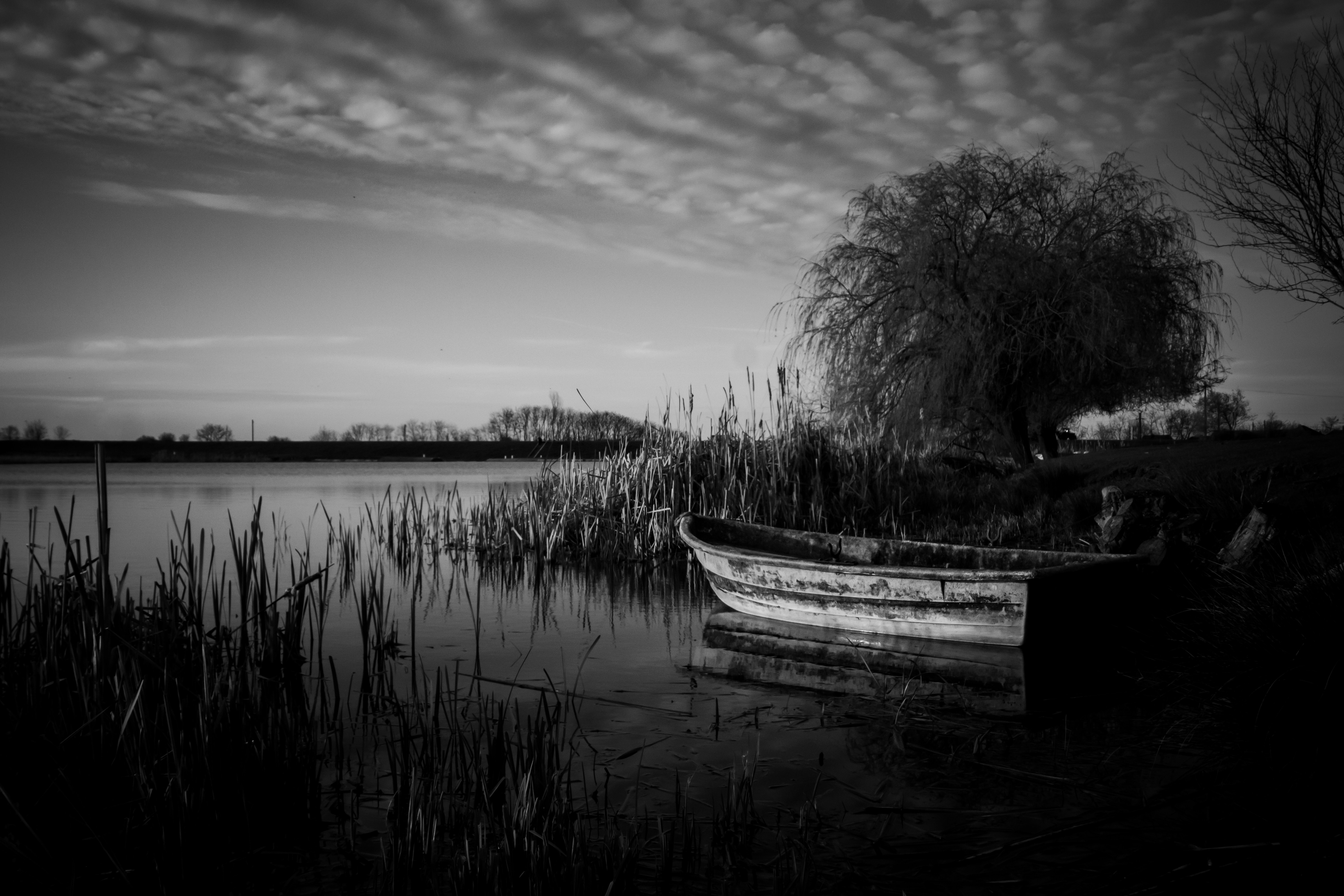 Photo by sylvester_s