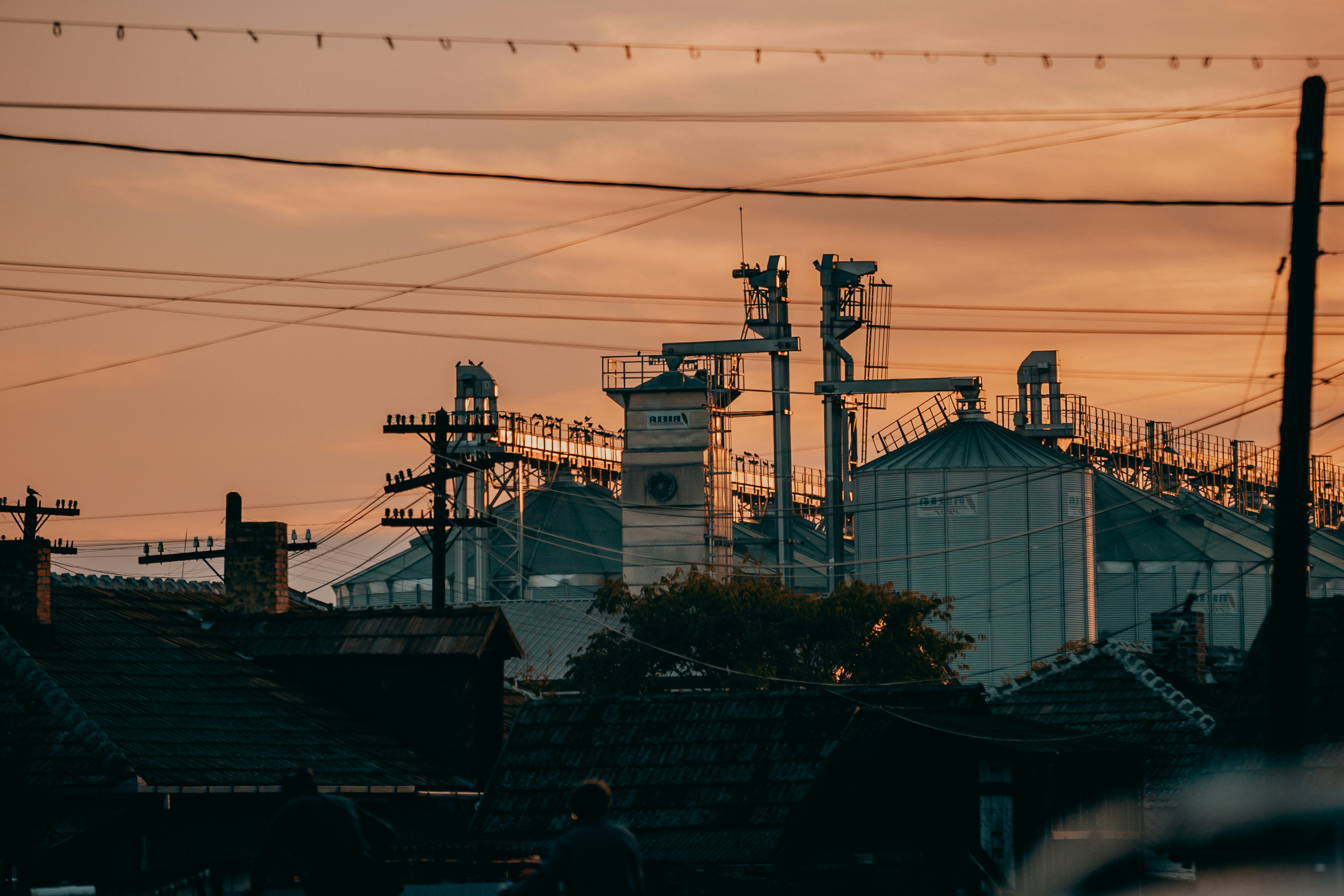 Photo by sylvester_s