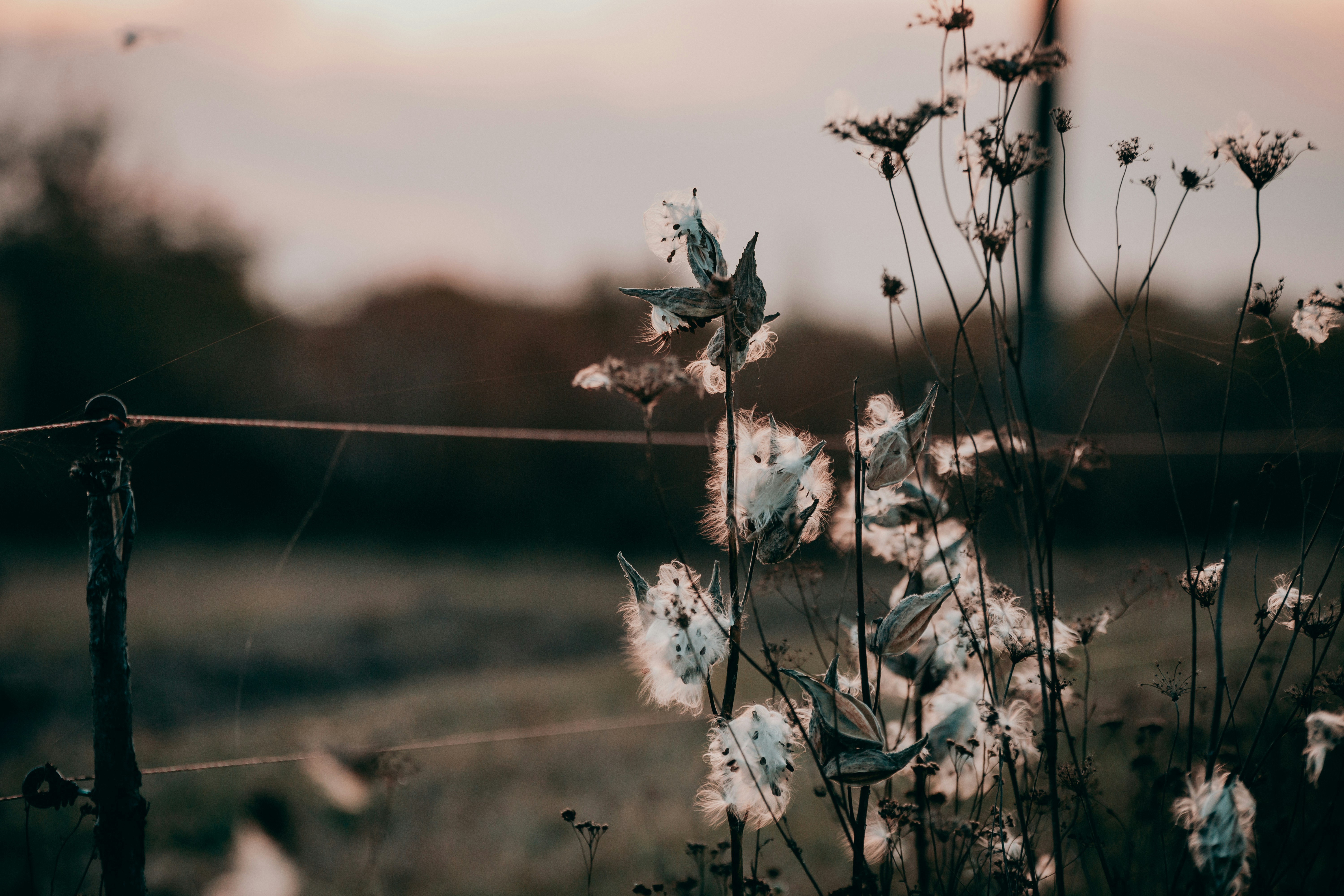 Photo by sylvester_s