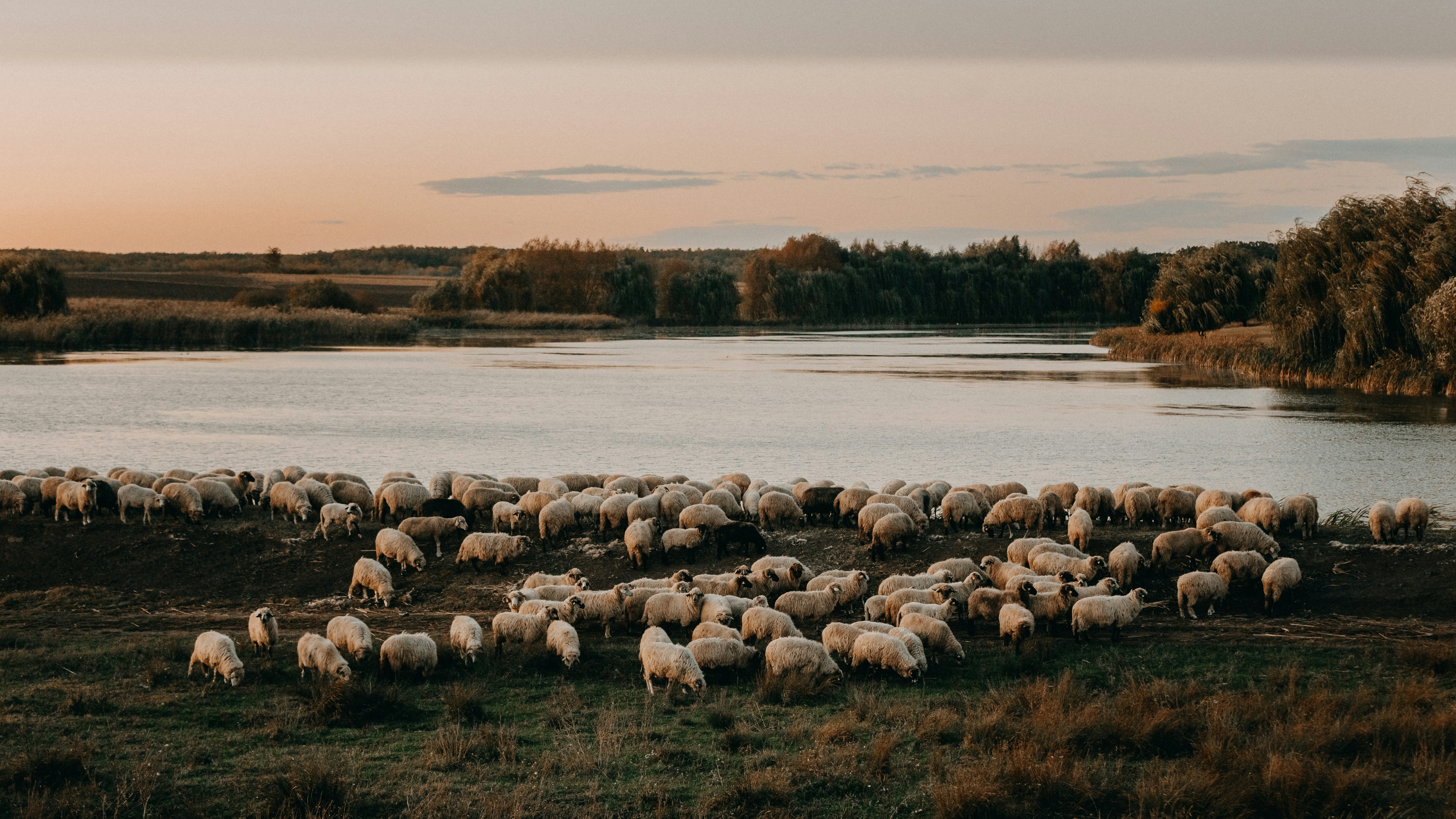 Photo by sylvester_s