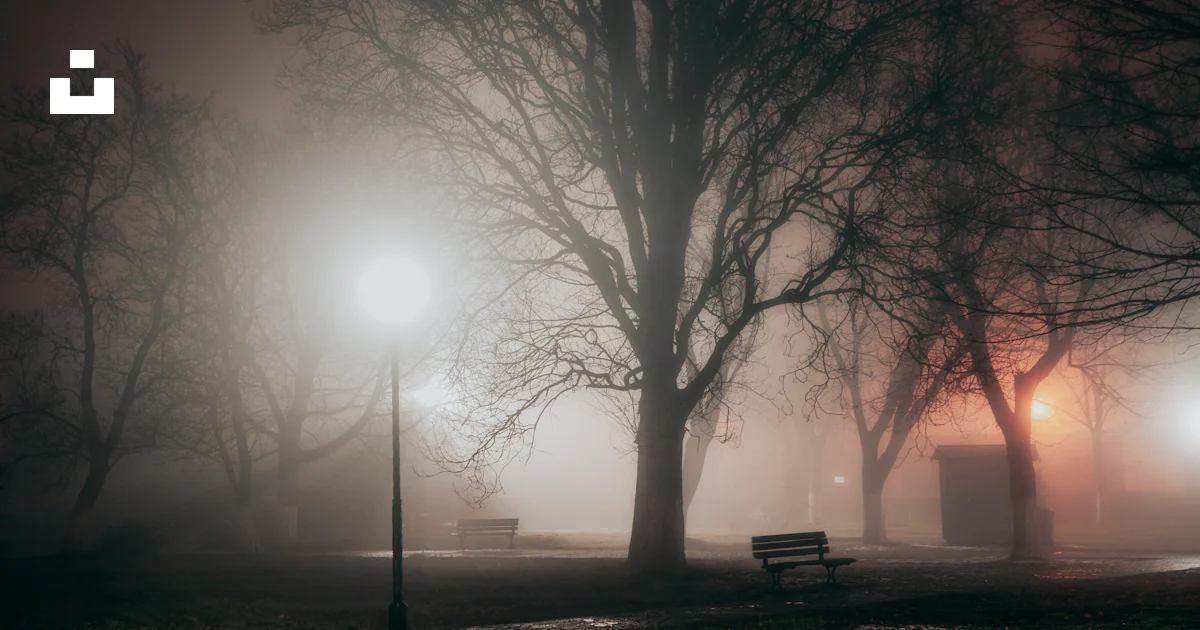 ベンチと街灯のある公園の霧の夜の写真 – Unsplashの夜の無料画像