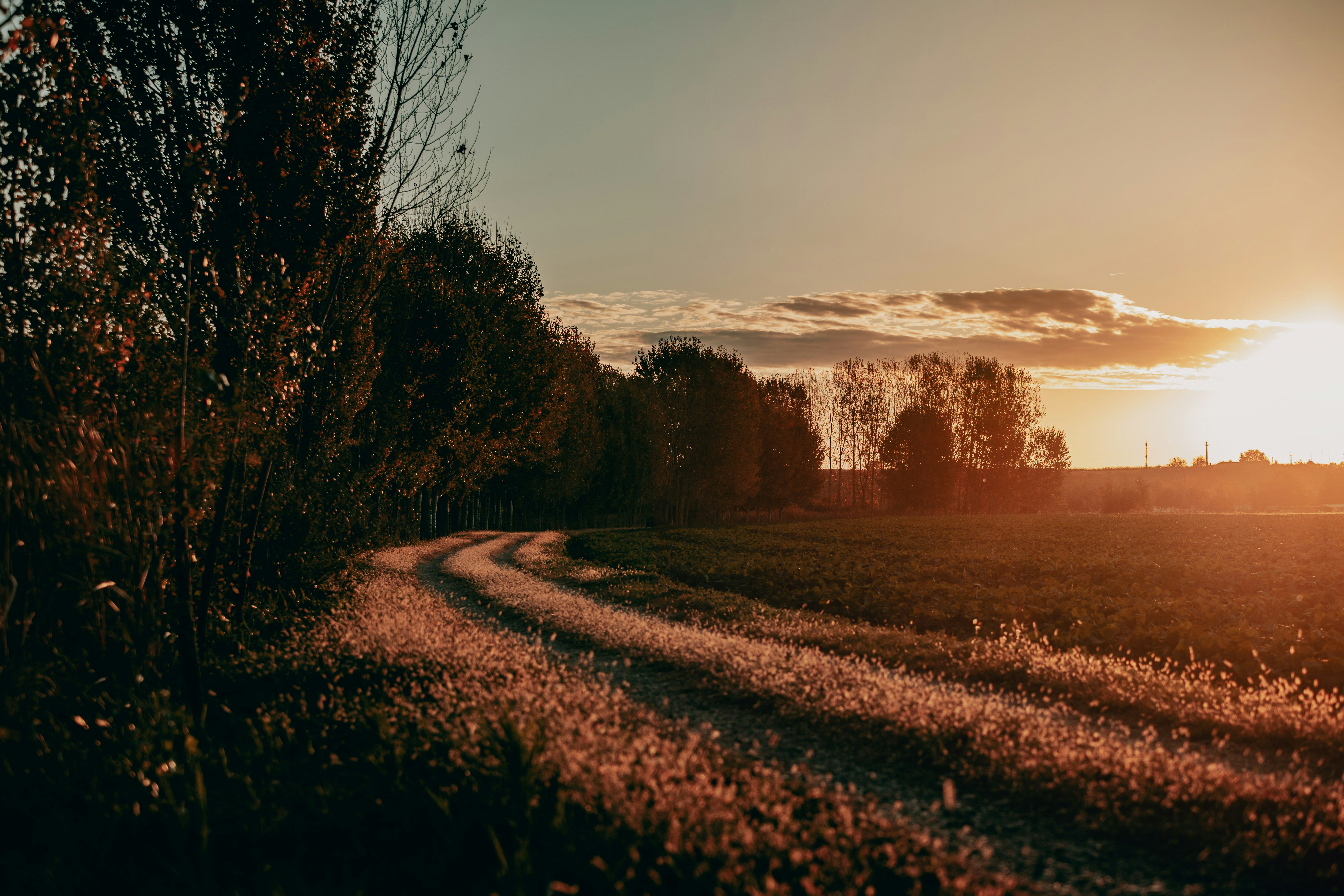 Photo by sylvester_s