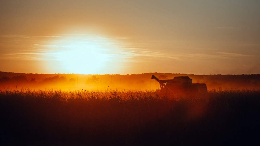 Un tractor en un campo con la puesta de sol de fondo