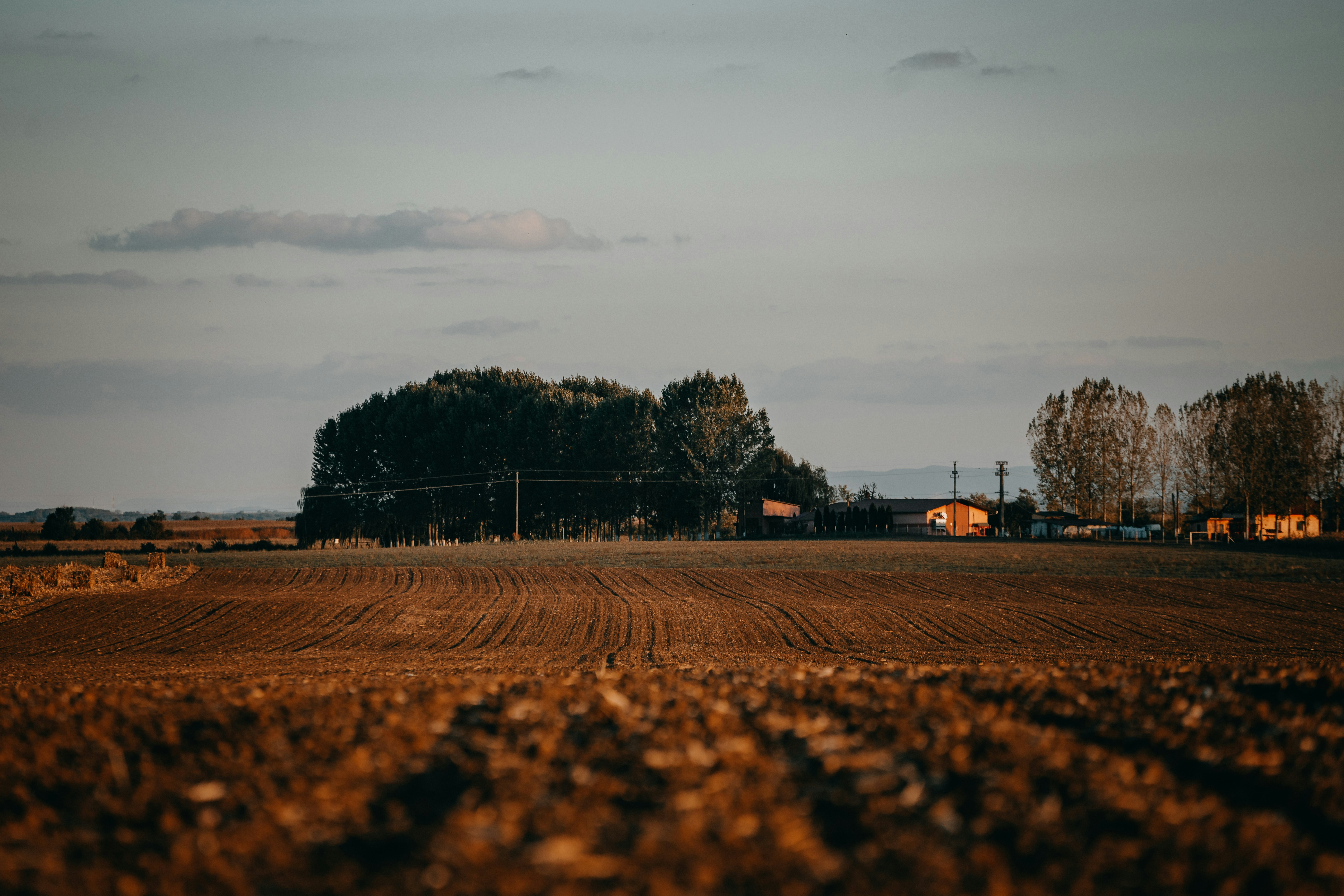 Photo by sylvester_s