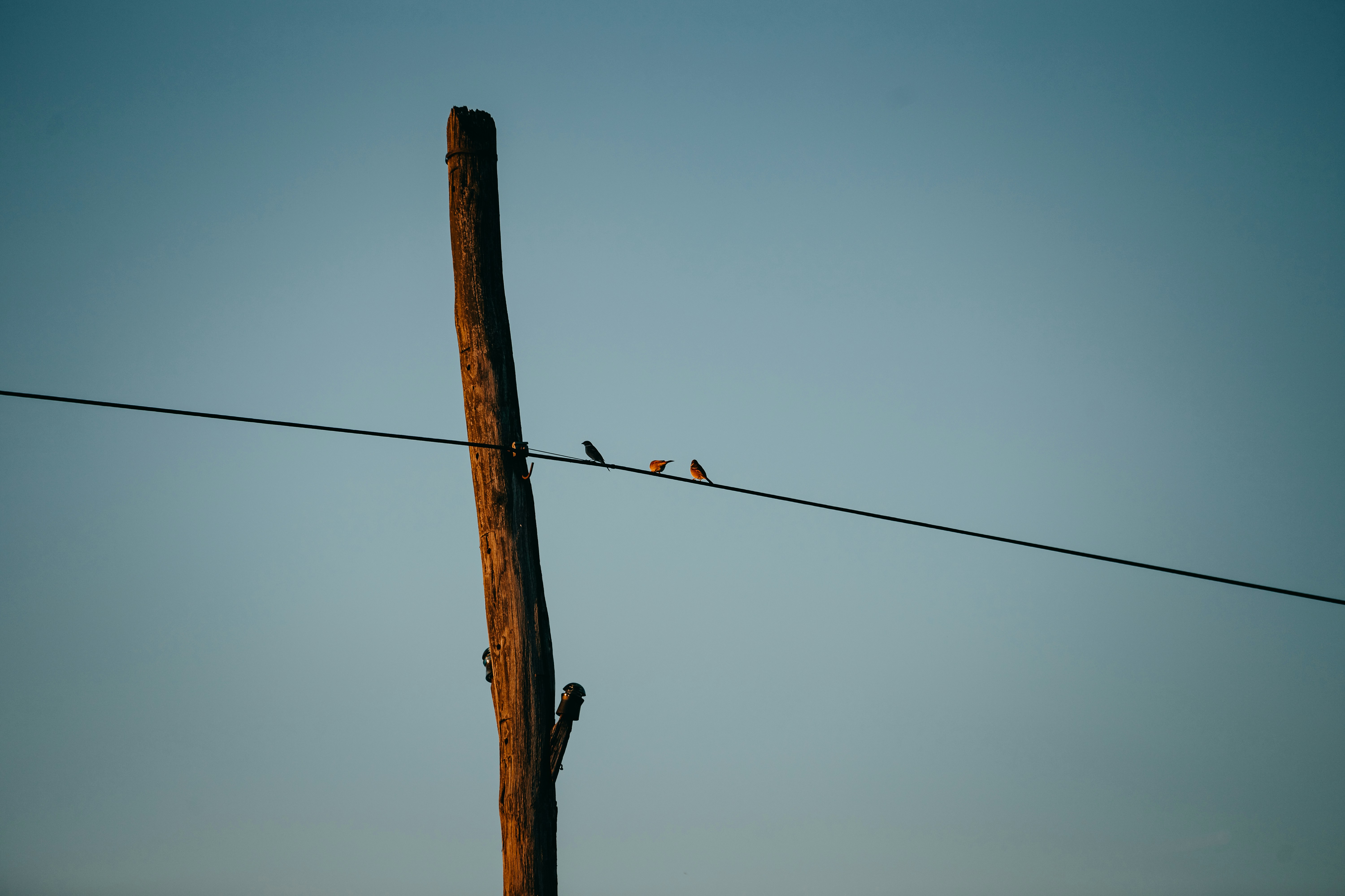 Photo by sylvester_s