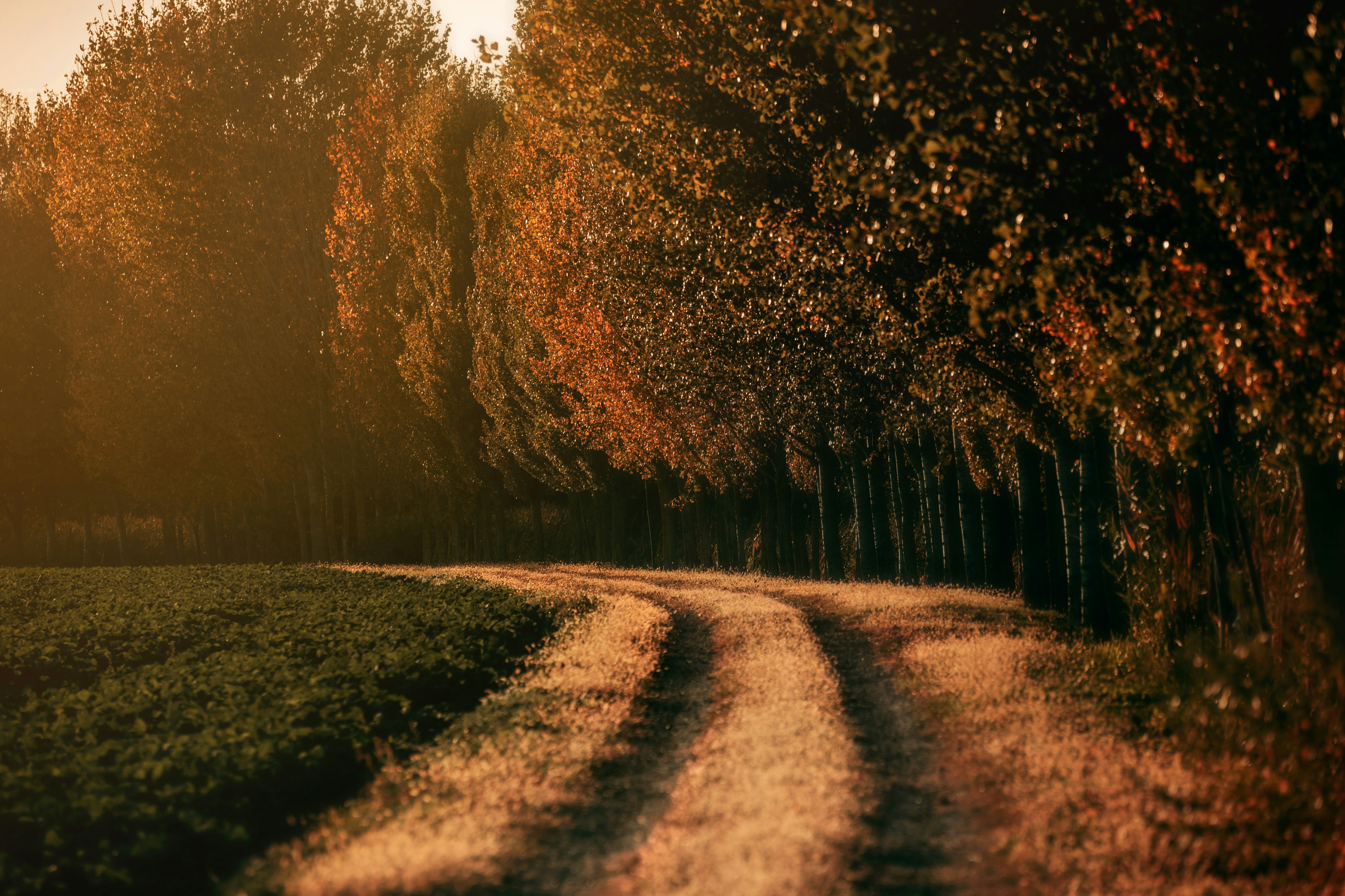 Photo by sylvester_s