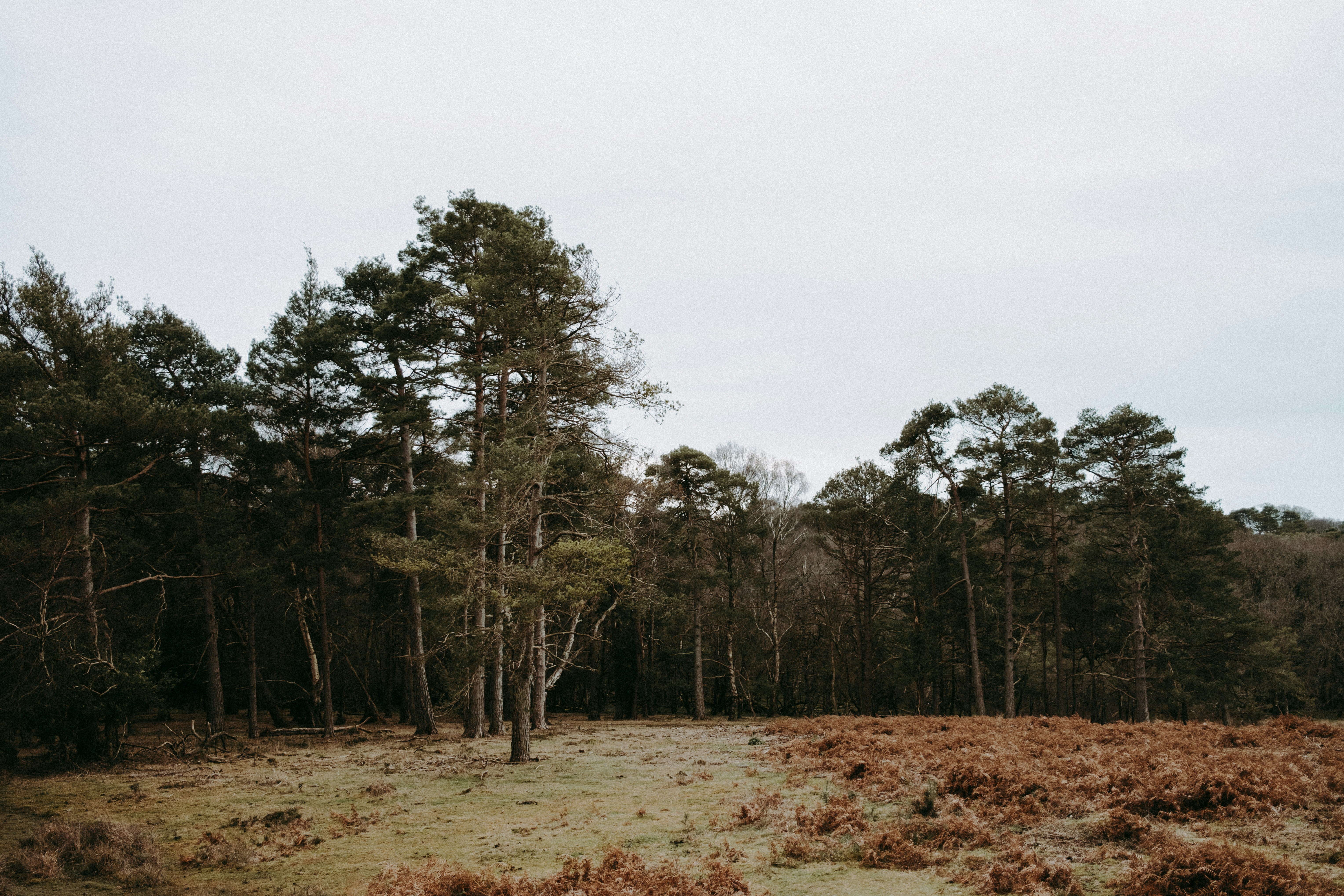 Photo by anniespratt