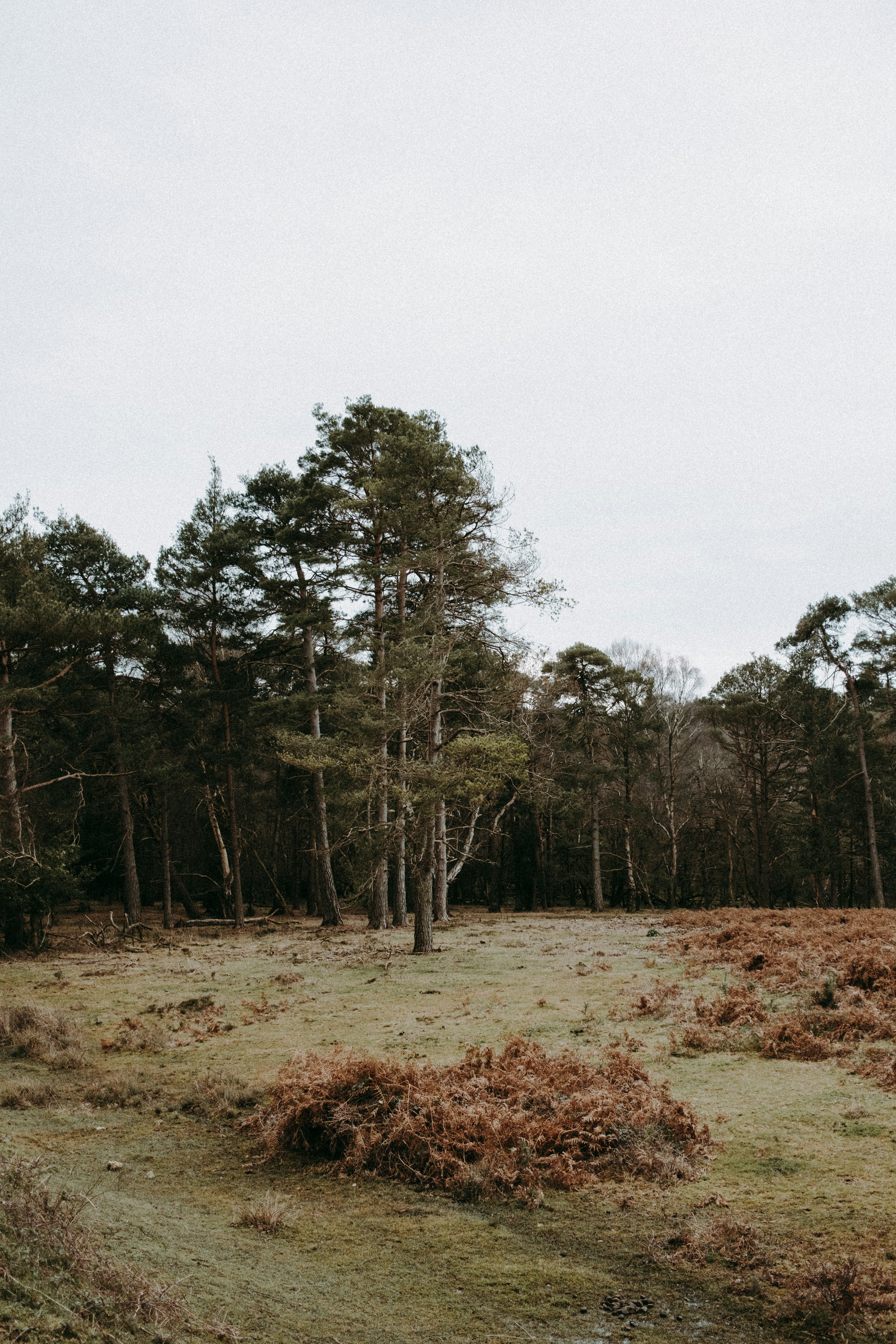 Photo by anniespratt