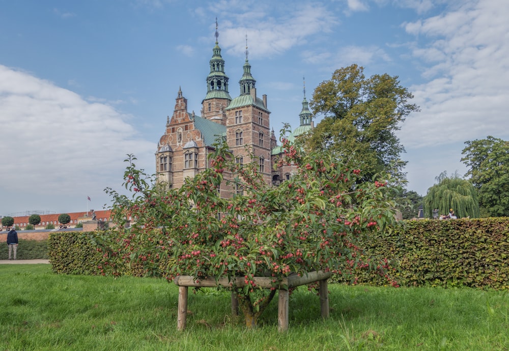 an apple tree in front of a large building