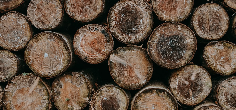 a pile of cut logs stacked on top of each other