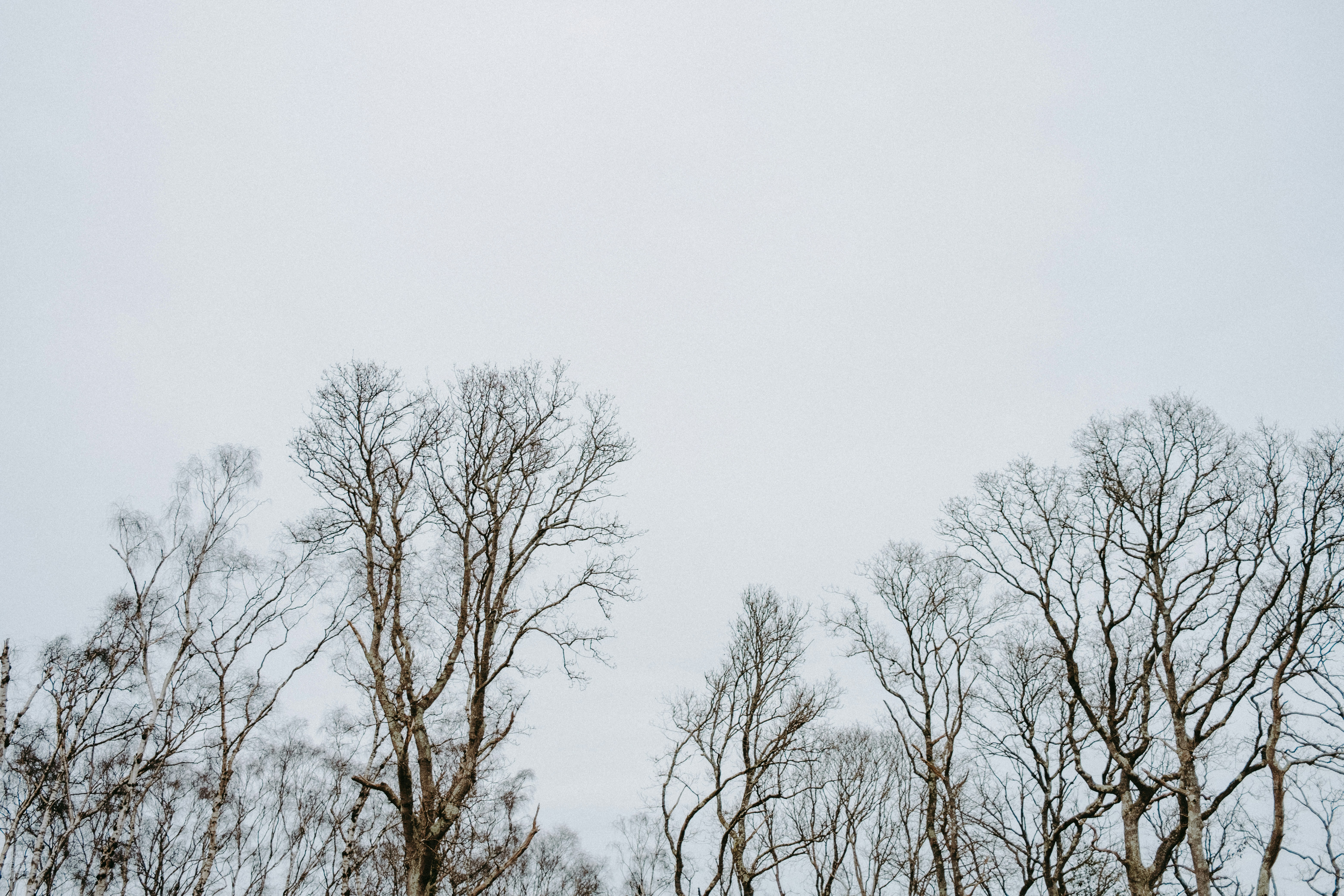 Photo by anniespratt