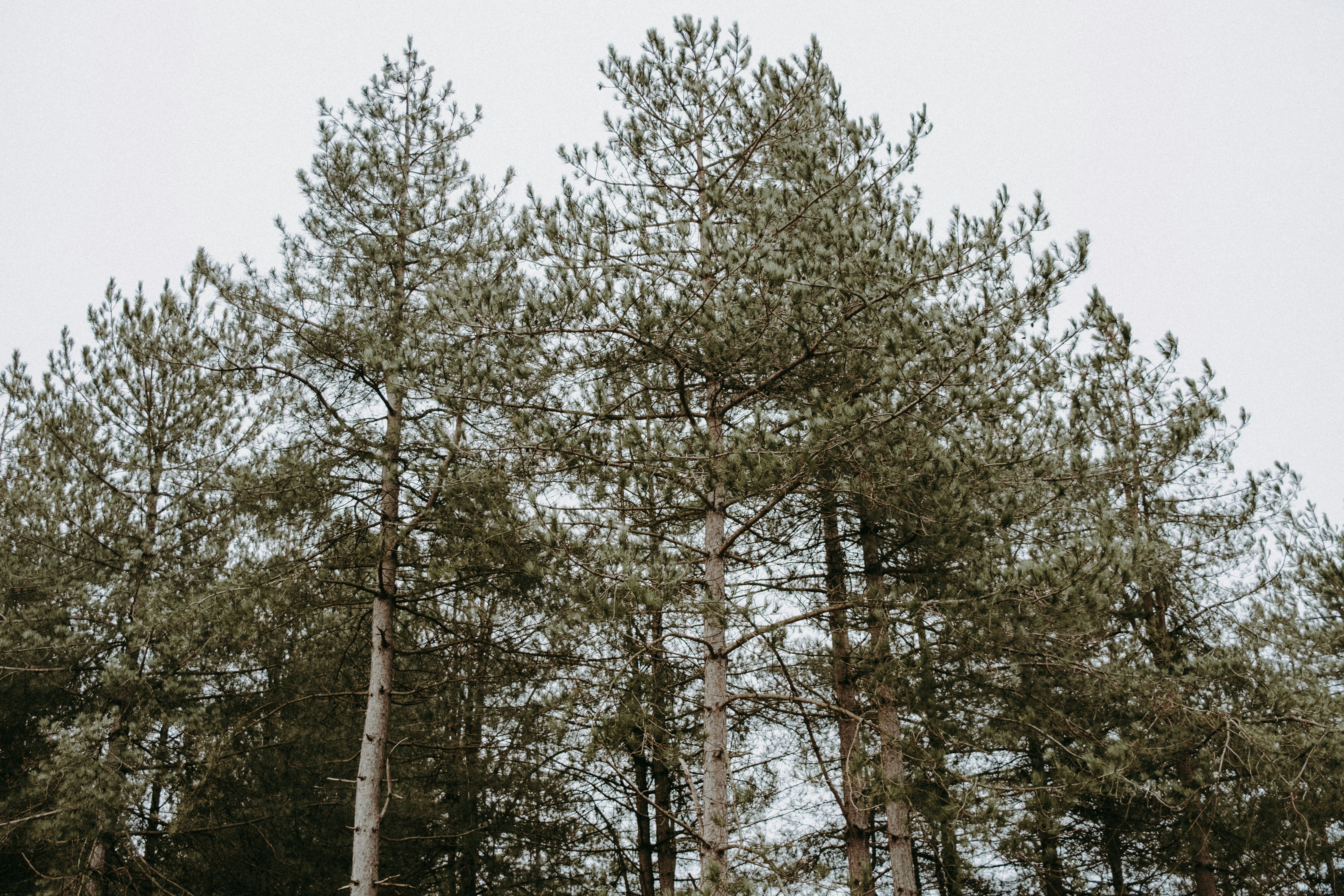 Photo by anniespratt