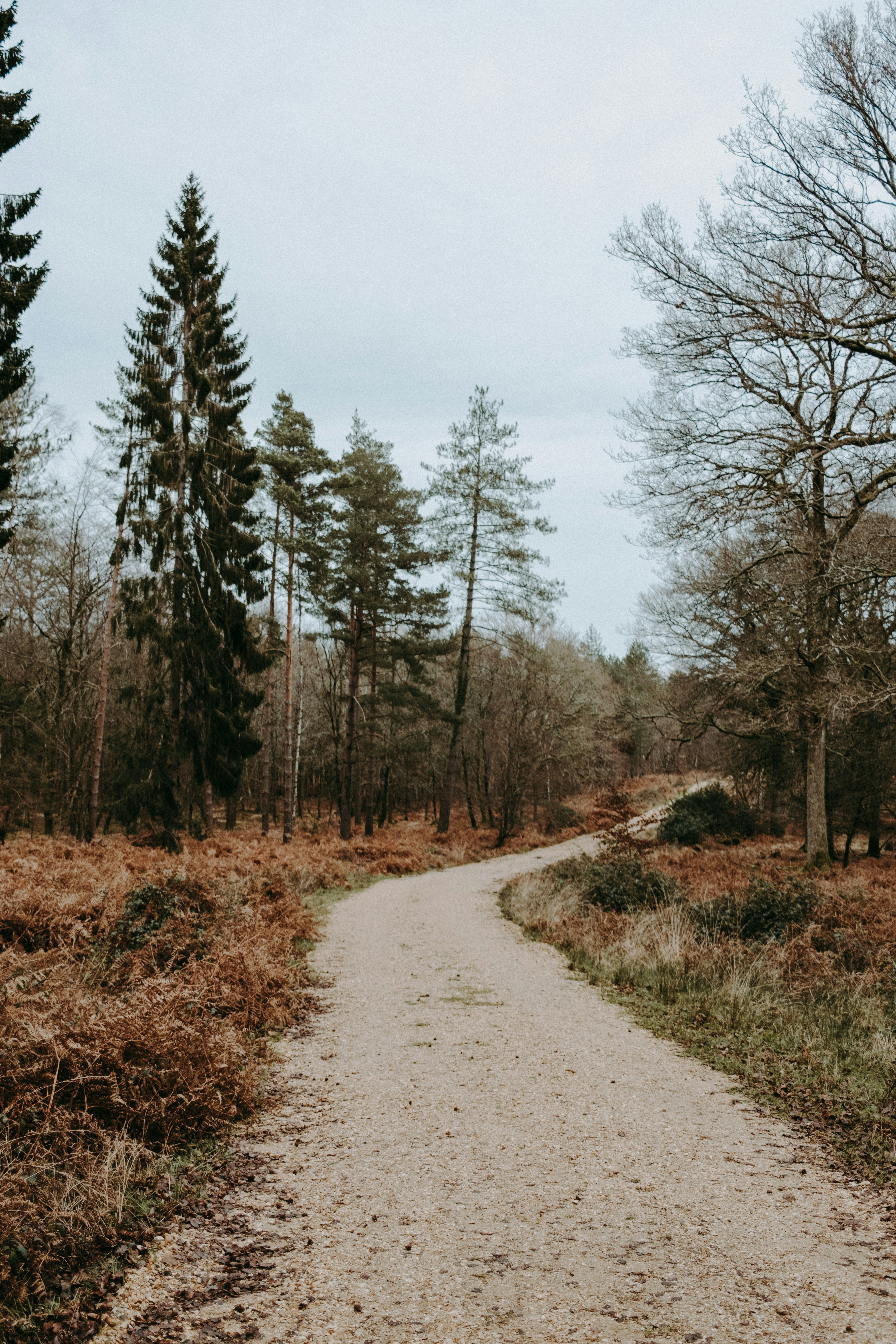 Photo by anniespratt