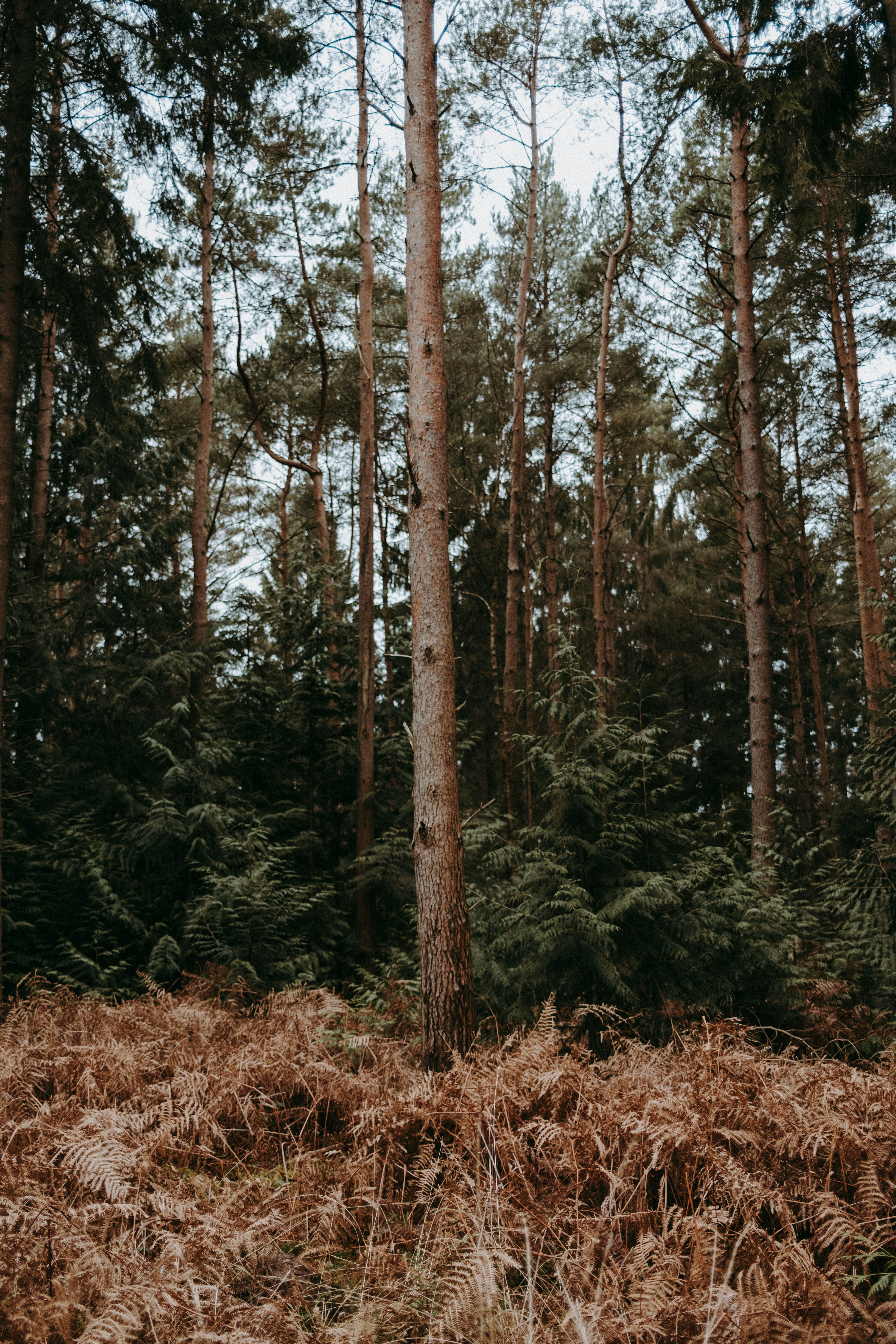 Photo by anniespratt