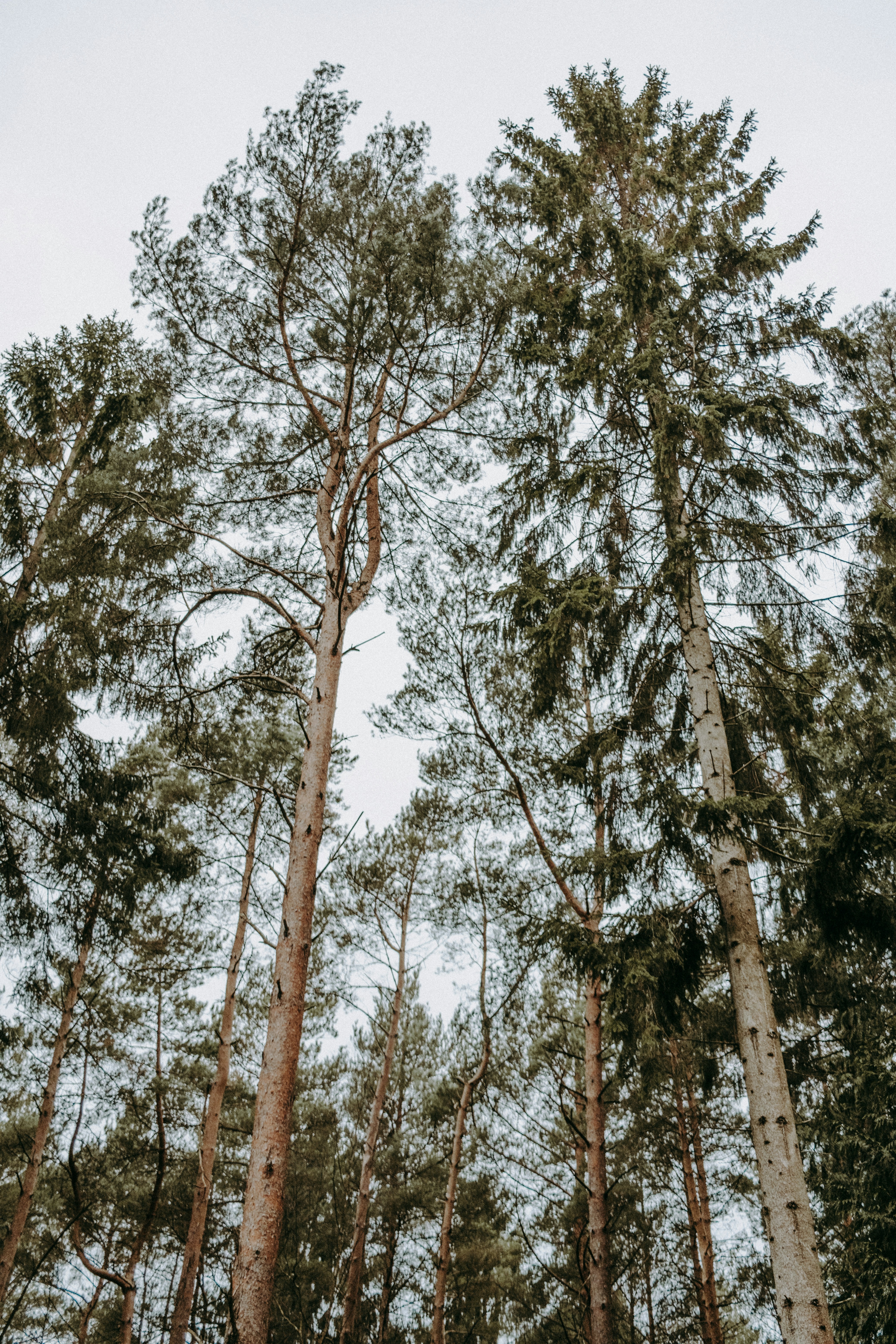 Photo by anniespratt