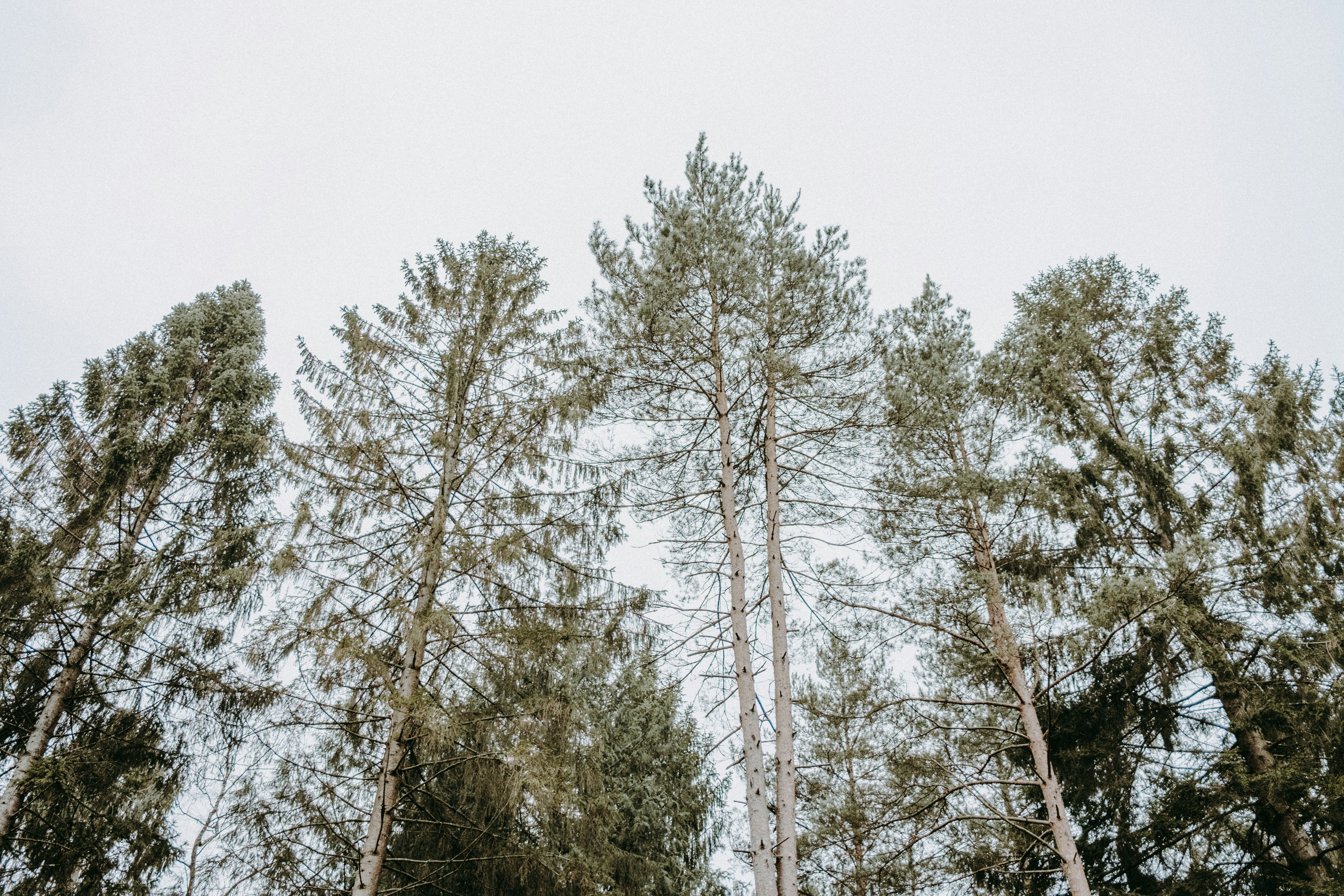 Photo by anniespratt