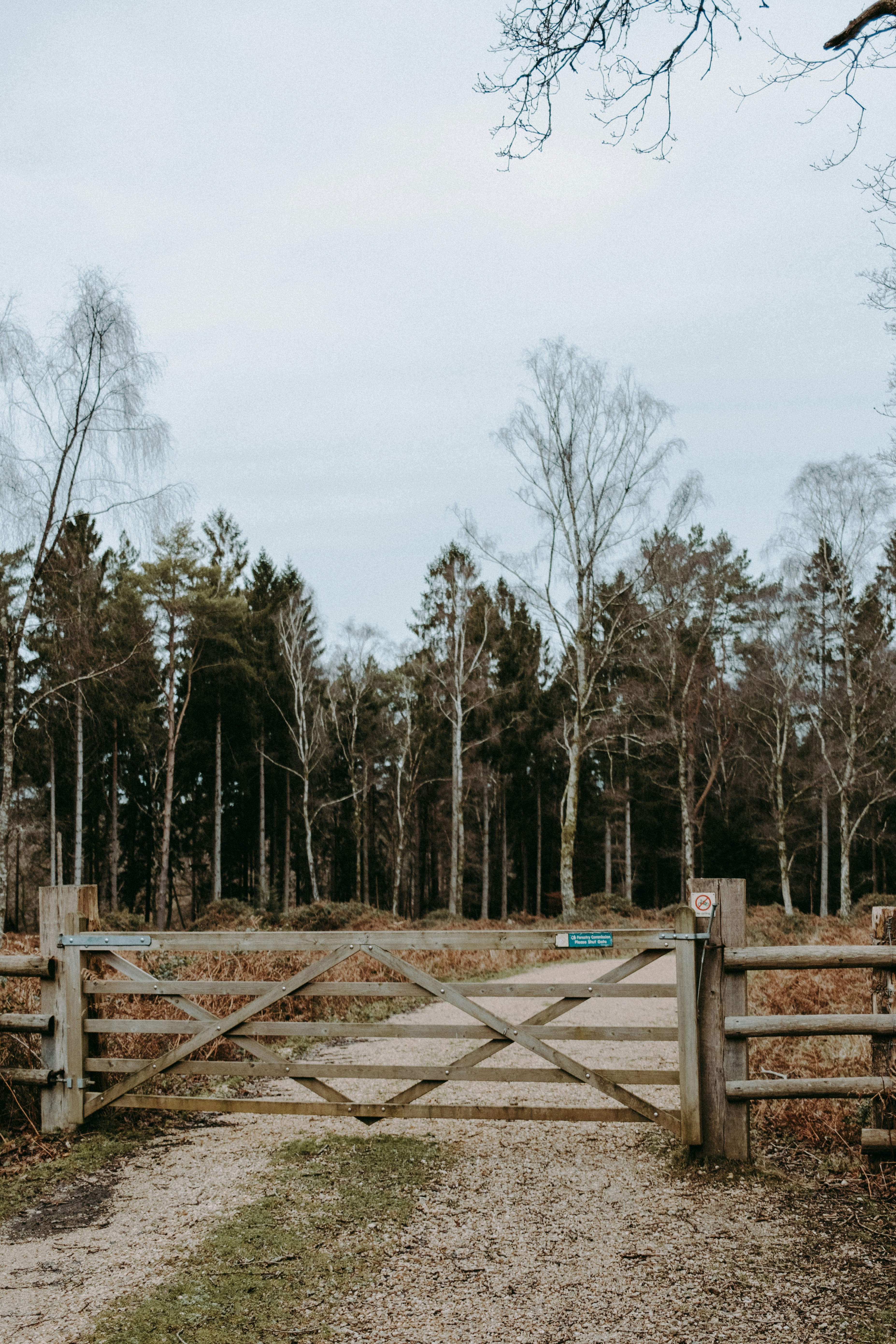 Photo by anniespratt