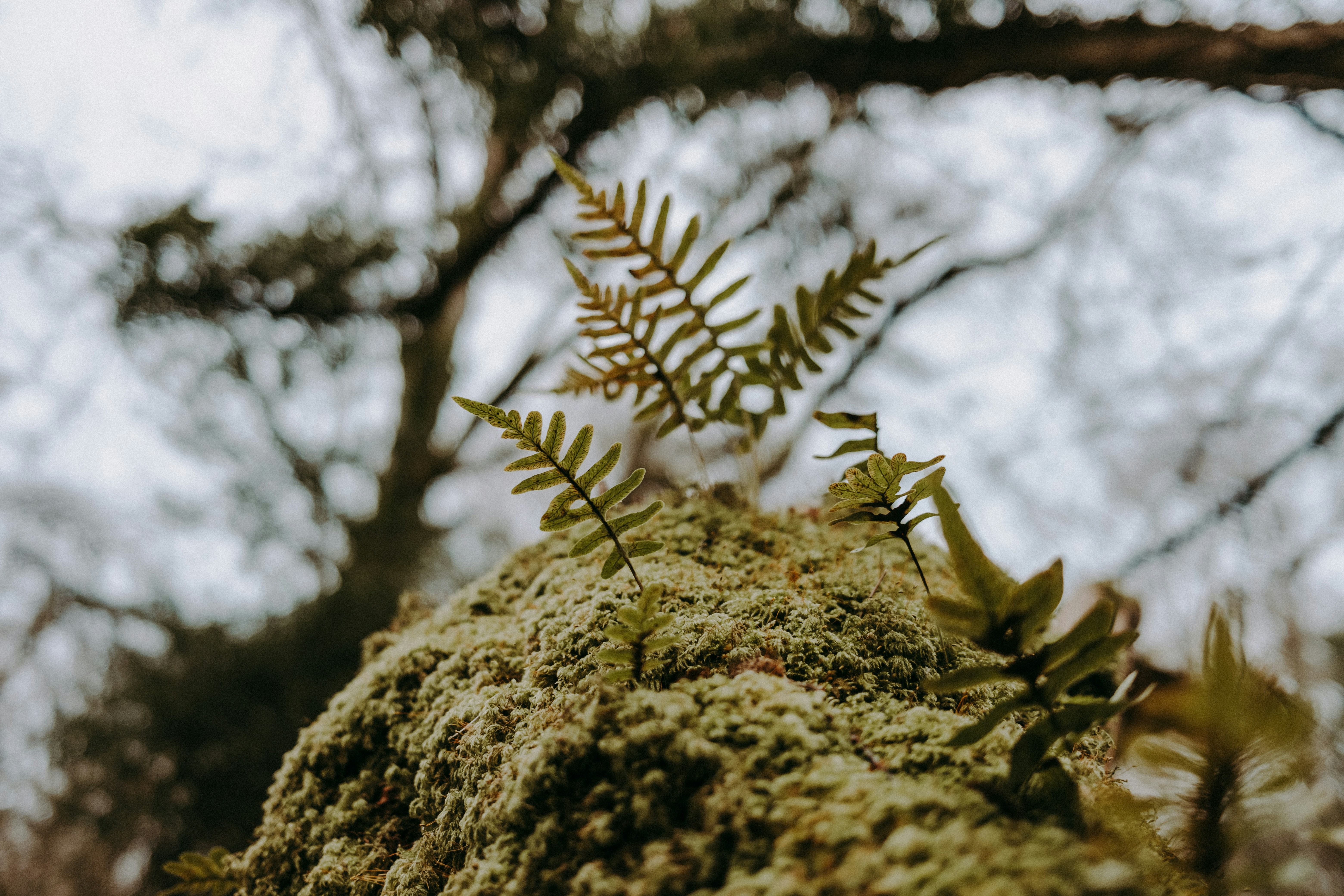 Photo by anniespratt