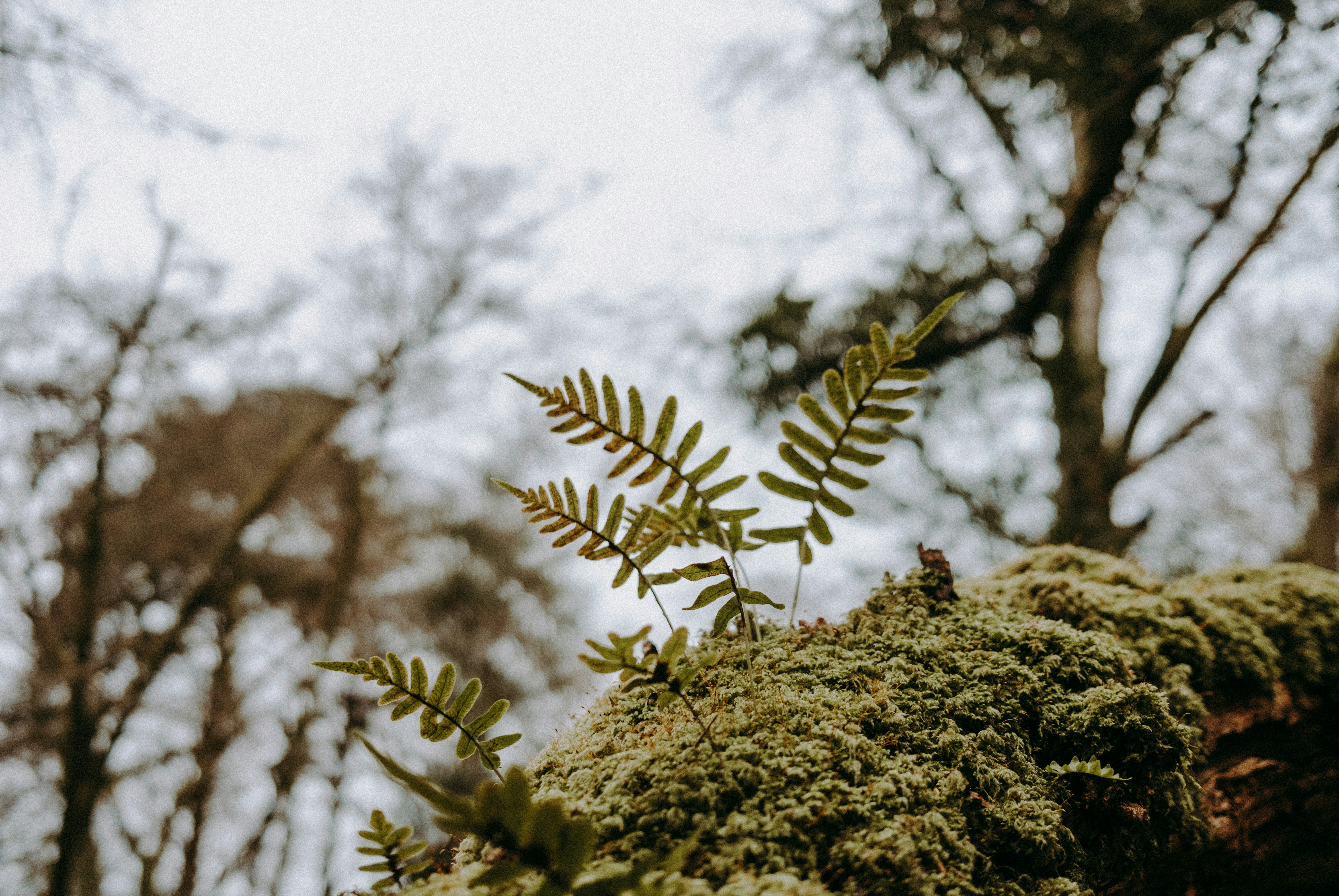 Photo by anniespratt